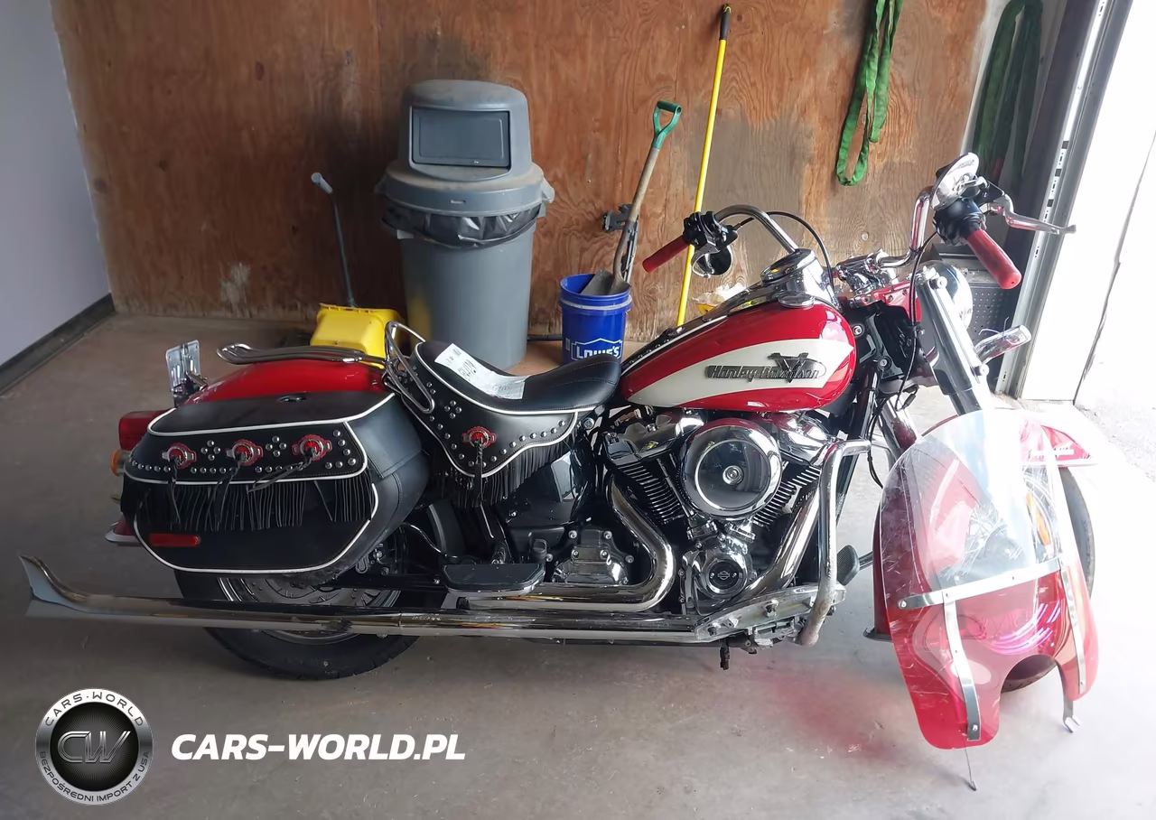 2024 Harley-Davidson Fli VIN:1HD1BCK15RB027989 - 12