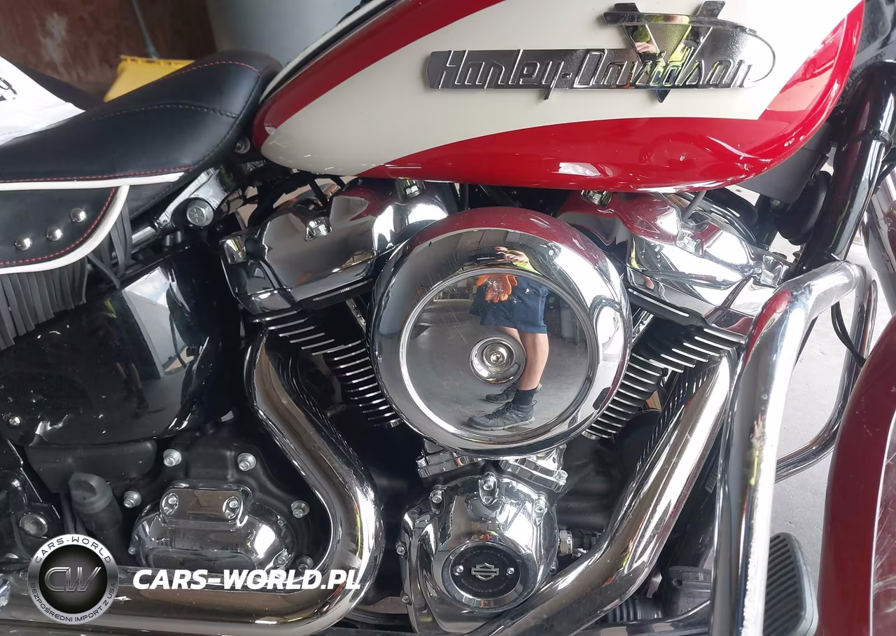 2024 Harley-Davidson Fli VIN:1HD1BCK15RB027989 - 8