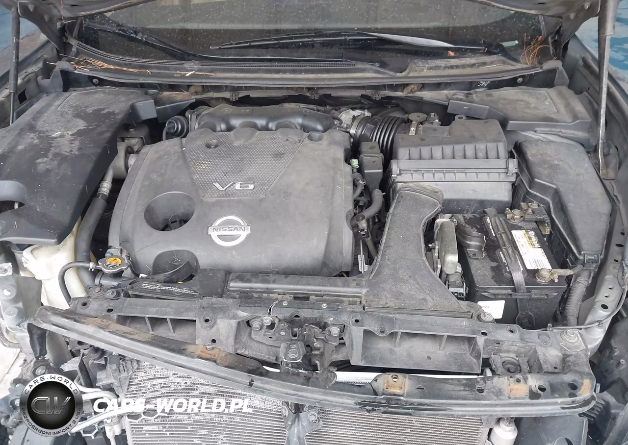 2009 Nissan Maxima 3.5 Sv VIN:1N4AA51E39C813536 - 10