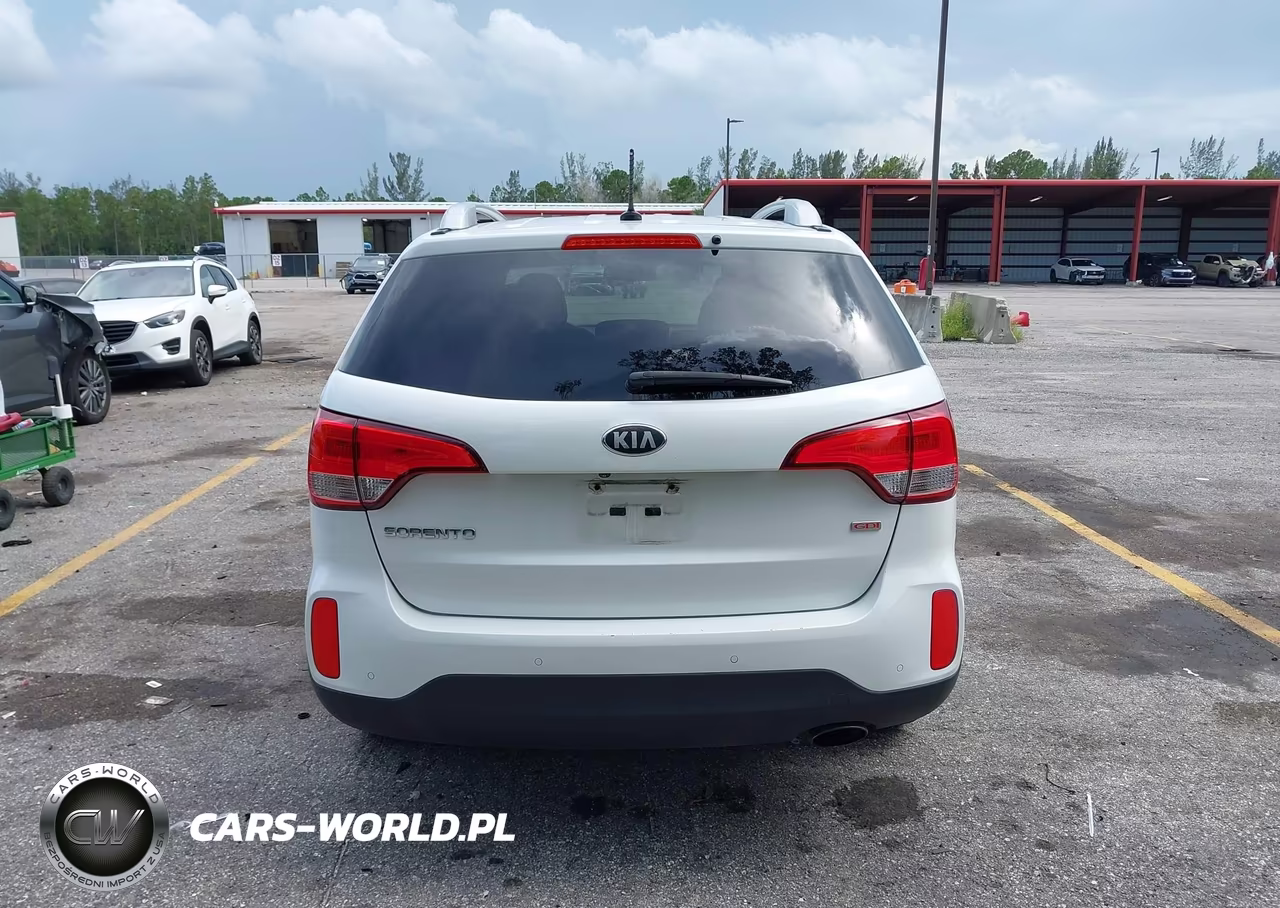 2014 Kia Sorento Lx VIN:5XYKT3A6XEG439728 - 17