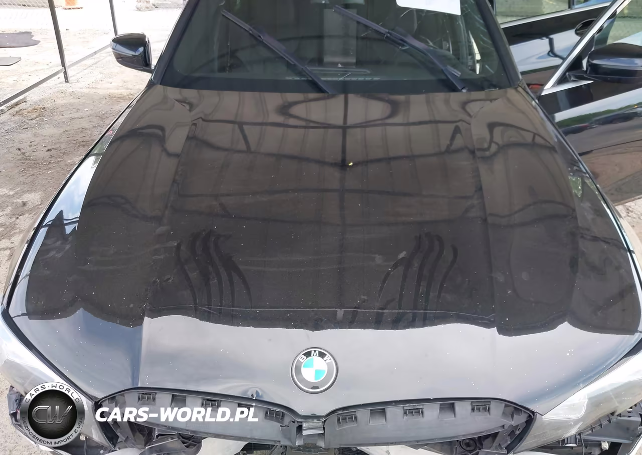 2019 BMW 330I xDrive VIN:WBA5R7C53KAJ86171 - 10