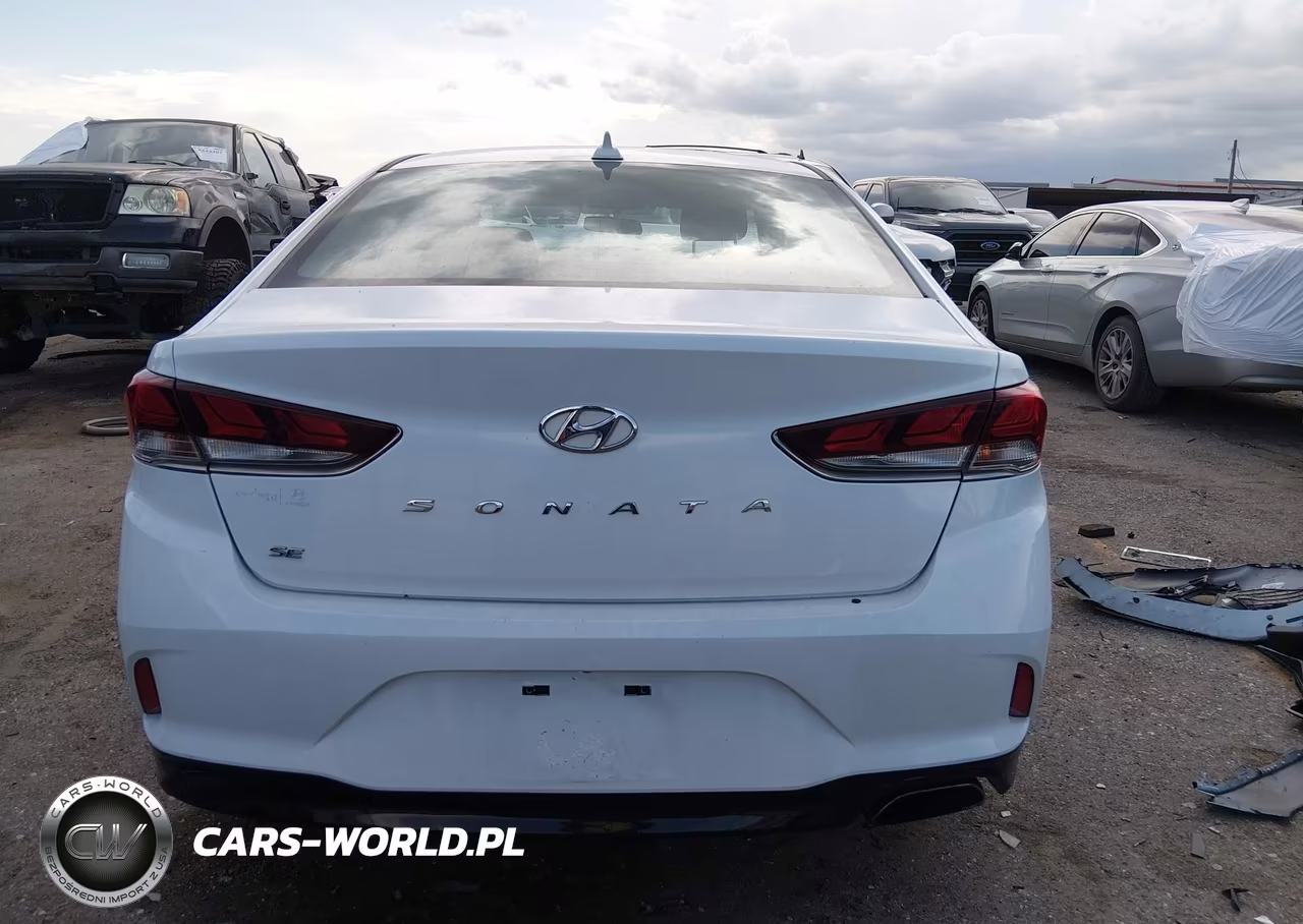 2019 Hyundai Sonata Se VIN:5NPE24AF9KH739139 - 16