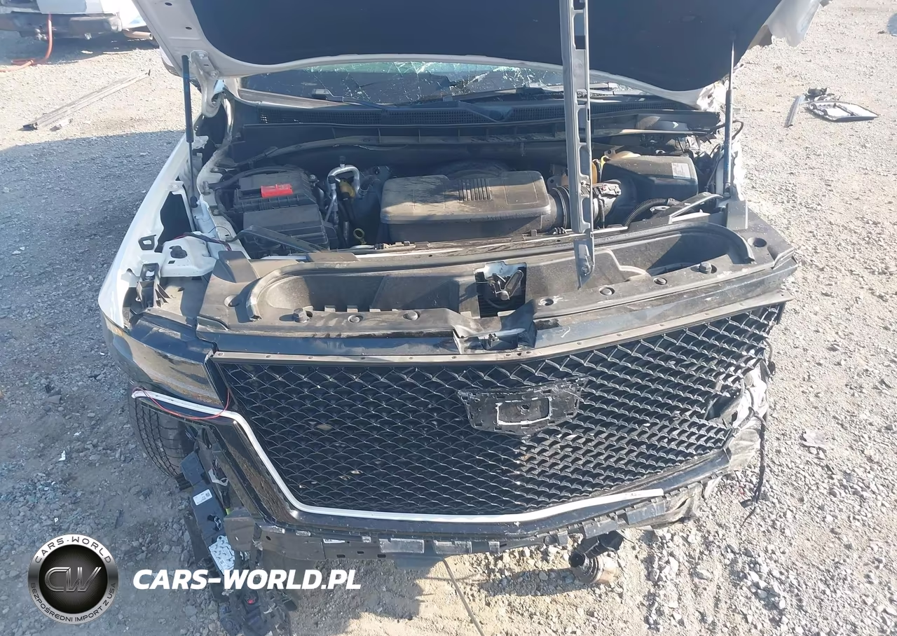 2021 Cadillac Escalade 4Wd Sport Platinum VIN:1GYS4GKLXMR404738 - 10