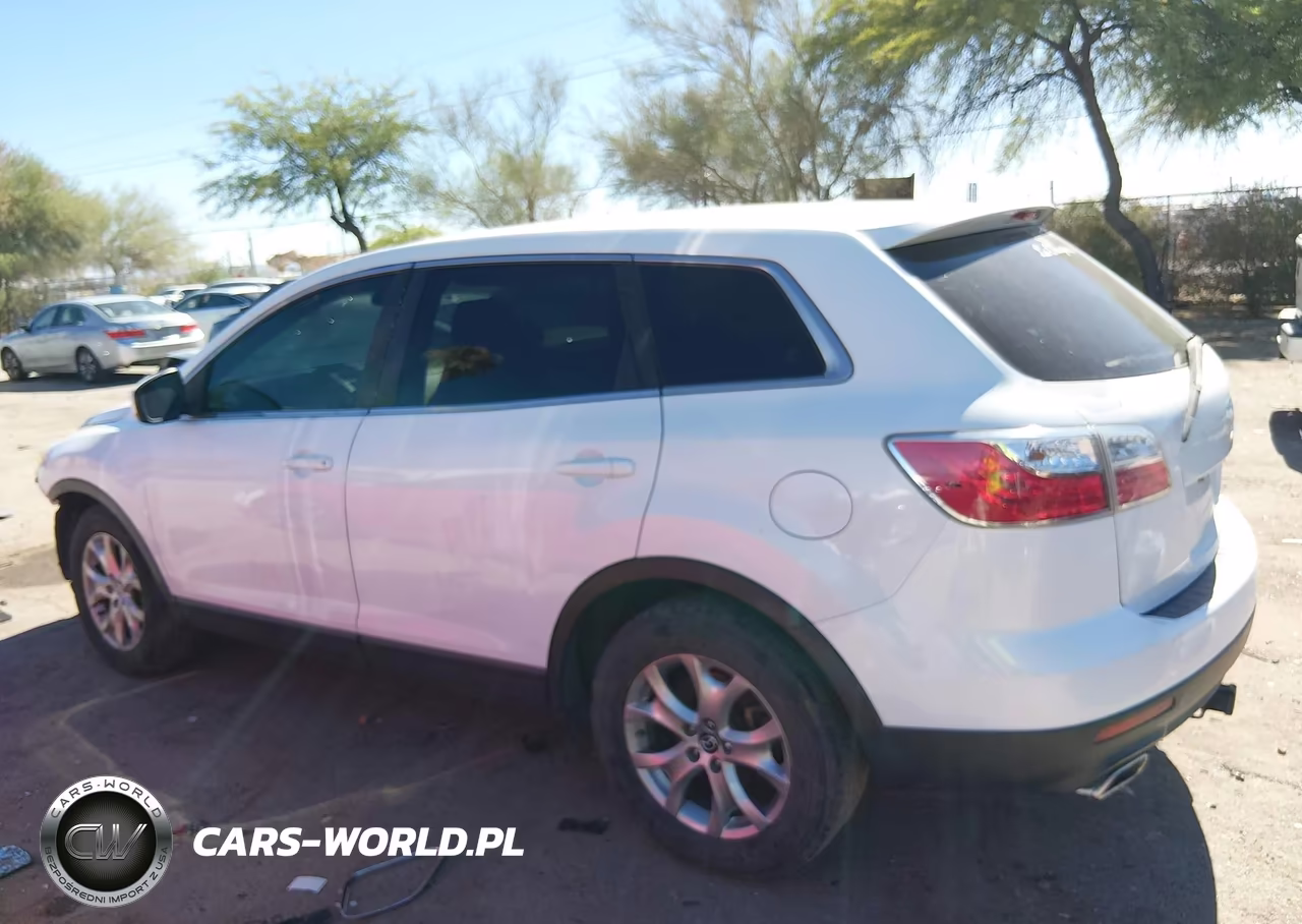 2011 Mazda Cx-9 Sport VIN:JM3TB2BV5B0313163 - 13