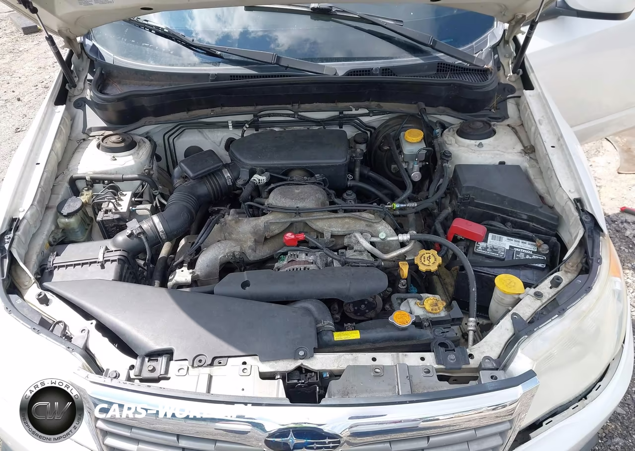 2010 Subaru Forester 2.5X Premium VIN:JF2SH6CCXAG749747 - 10