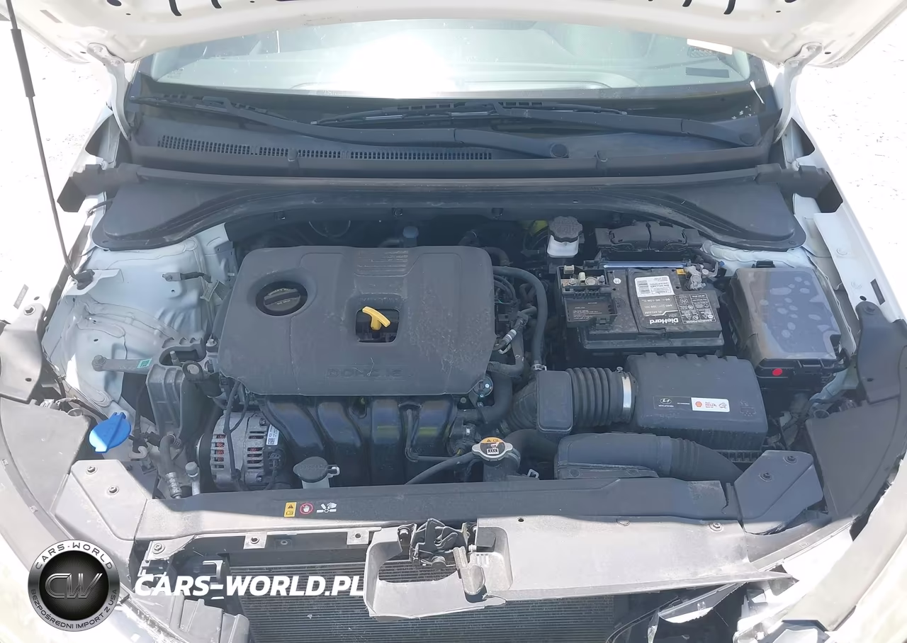 2019 Hyundai Elantra Se VIN:5NPD74LF2KH491102 - 10