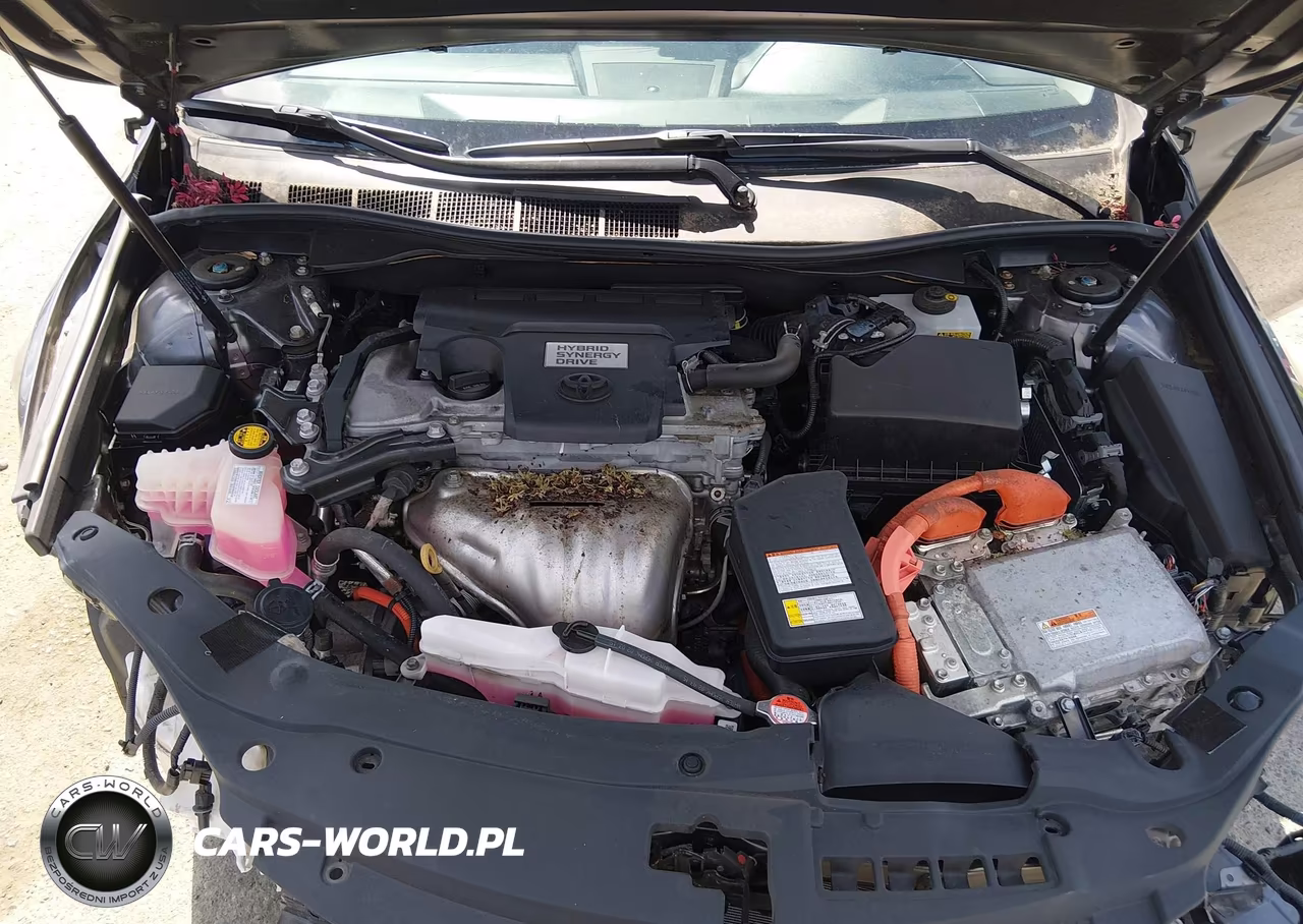 2016 Toyota Camry Hybrid Xle VIN:4T1BD1FK7GU178322 - 10