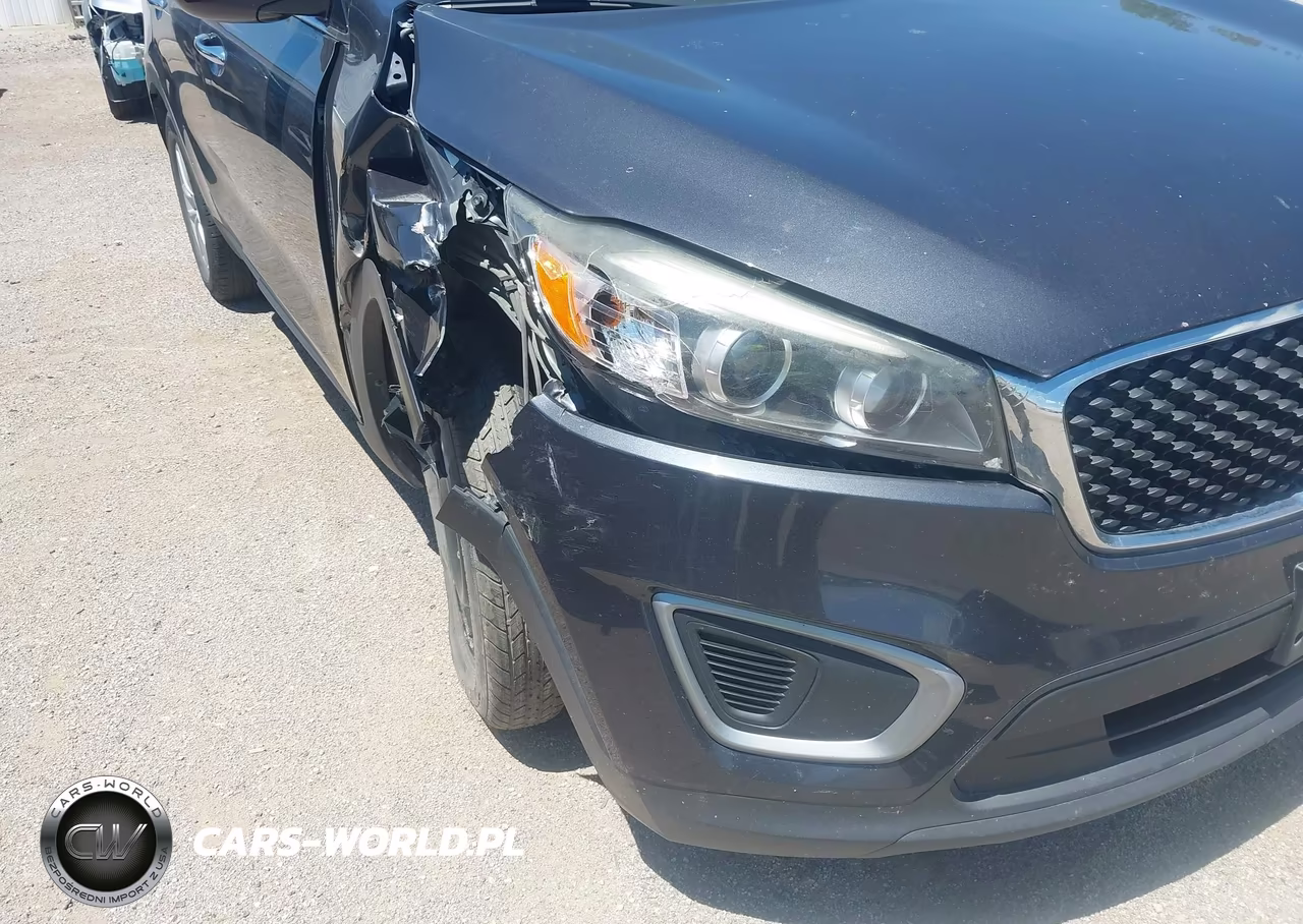 2017 Kia Sorento 2.4L Lx VIN:5XYPG4A35HG326120 - 19