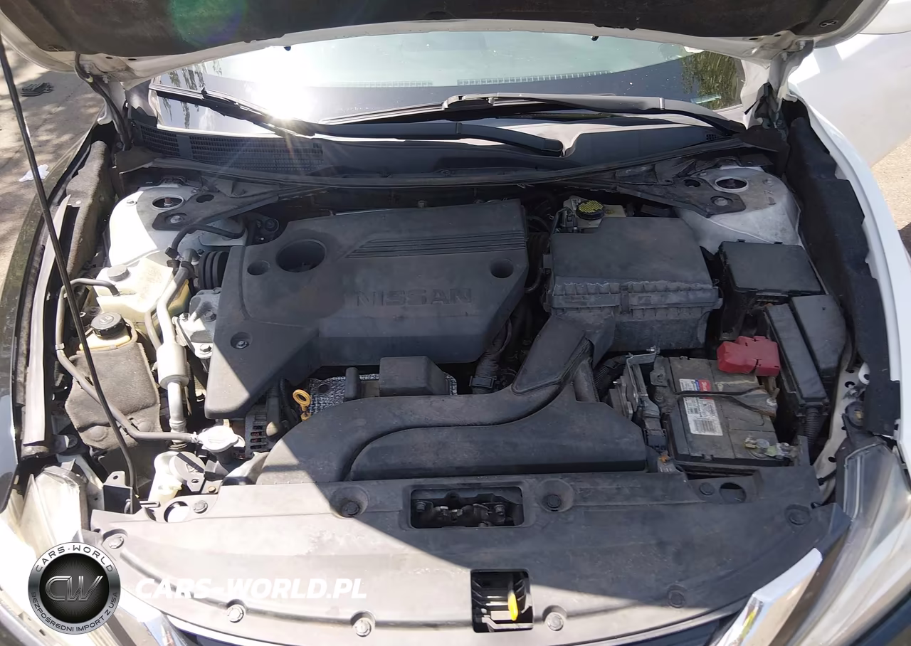 2016 Nissan Altima 2.5-2.5 S-2.5 Sl-2.5 Sr-2.5 Sv VIN:1N4AL3AP5GN338392 - 10