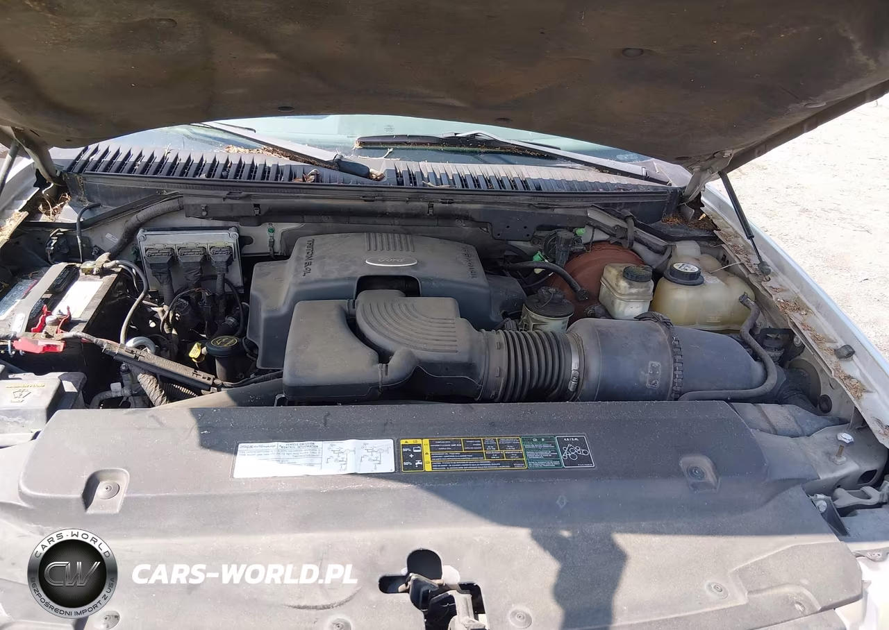 2004 Ford Expedition Nbx-Xlt VIN:1FMPU16L04LB81966 - 10