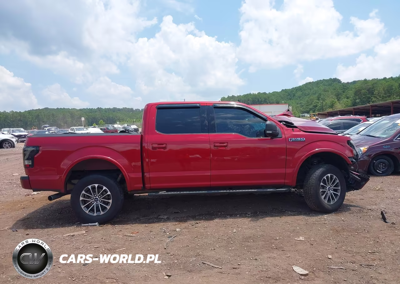 2019 Ford F-150 Xlt VIN:1FTEW1EP6KFD33707 - 14