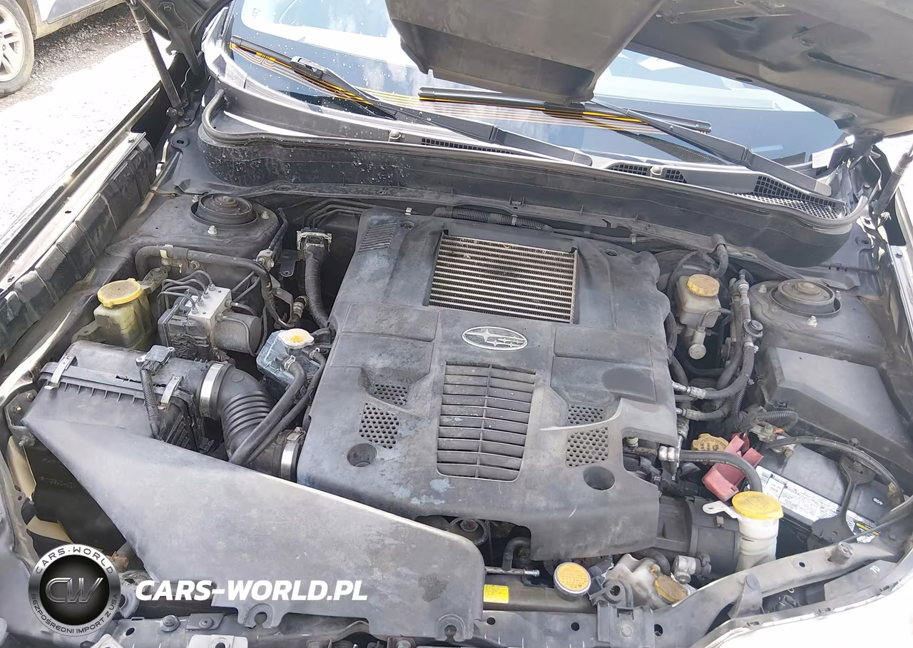 2010 Subaru Forester 2.5Xt Limited VIN:JF2SH6FC8AH728045 - 10