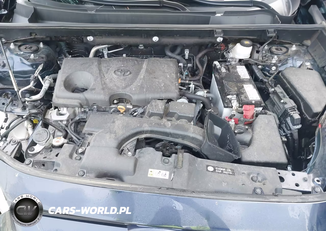 2025 Toyota Rav4 Xle VIN:2T3P1RFVXSW522426 - 10