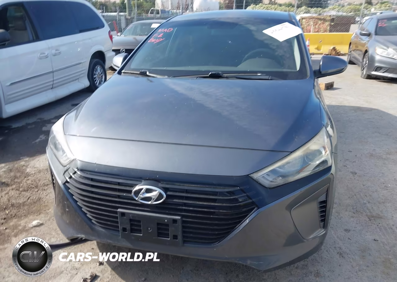 2019 Hyundai Ioniq Hybrid Blue VIN:KMHC65LC3KU162338 - 12