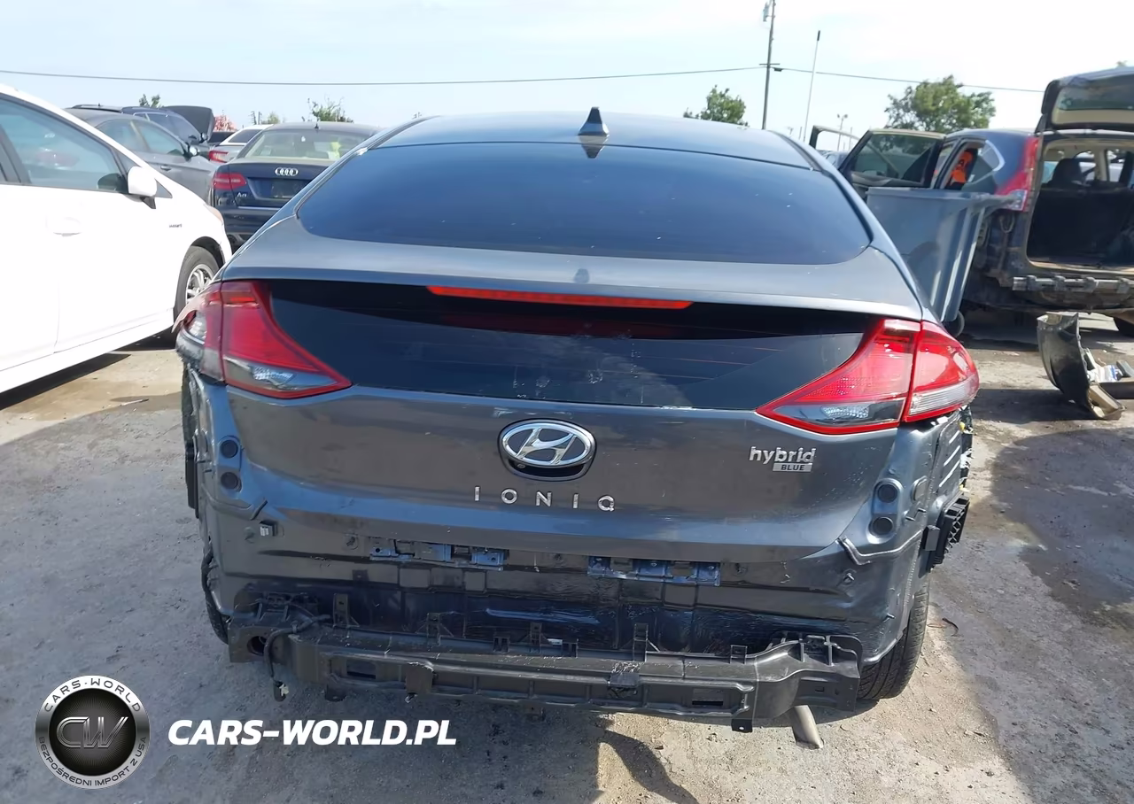 2019 Hyundai Ioniq Hybrid Blue VIN:KMHC65LC3KU162338 - 16
