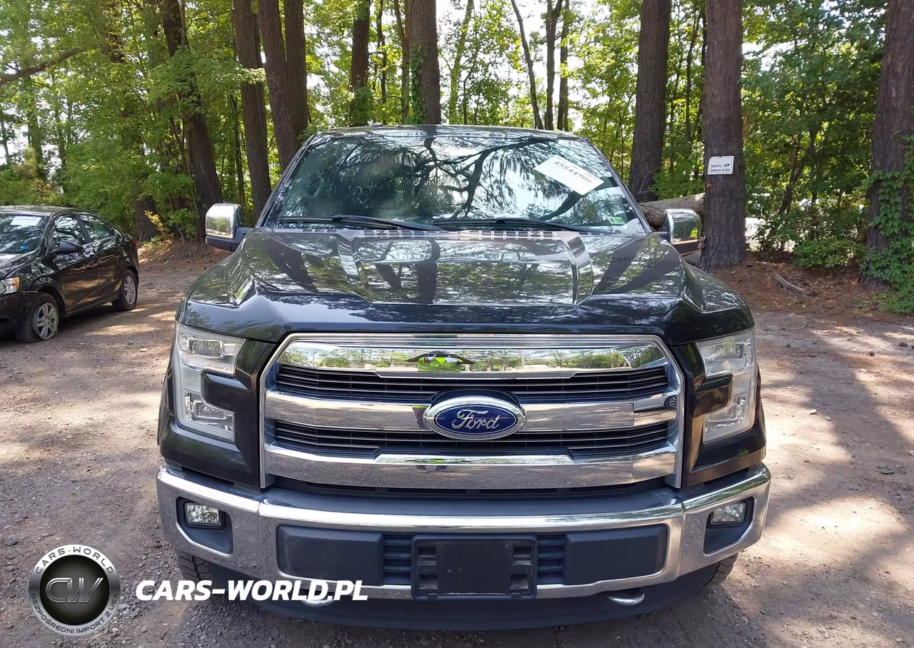 2015 Ford F-150 King Ranch-Lariat-Platinum-Xl-Xlt VIN:1FTEW1EF2FKE45098 - 12