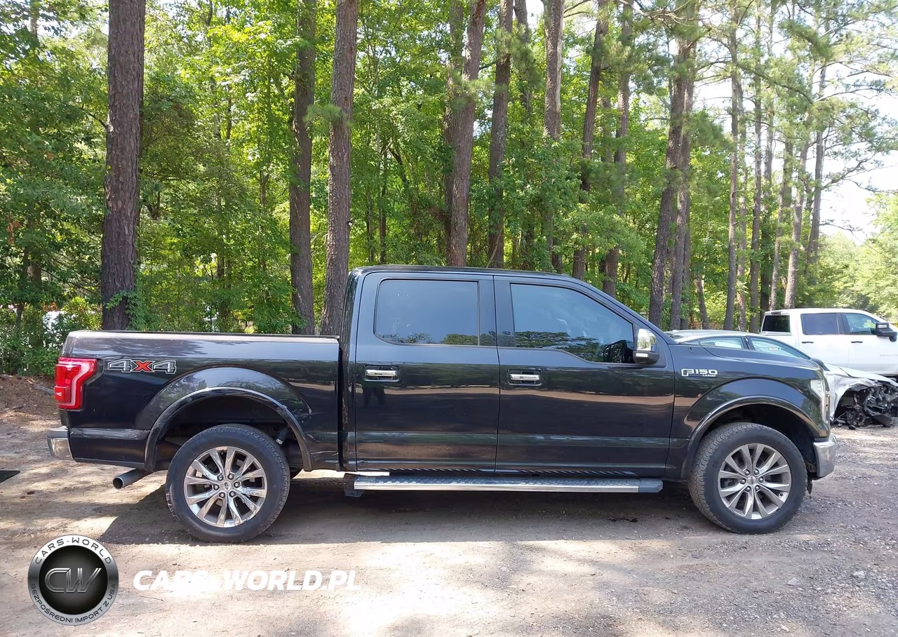 2015 Ford F-150 King Ranch-Lariat-Platinum-Xl-Xlt VIN:1FTEW1EF2FKE45098 - 13