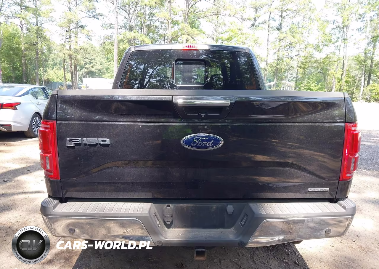 2015 Ford F-150 King Ranch-Lariat-Platinum-Xl-Xlt VIN:1FTEW1EF2FKE45098 - 16