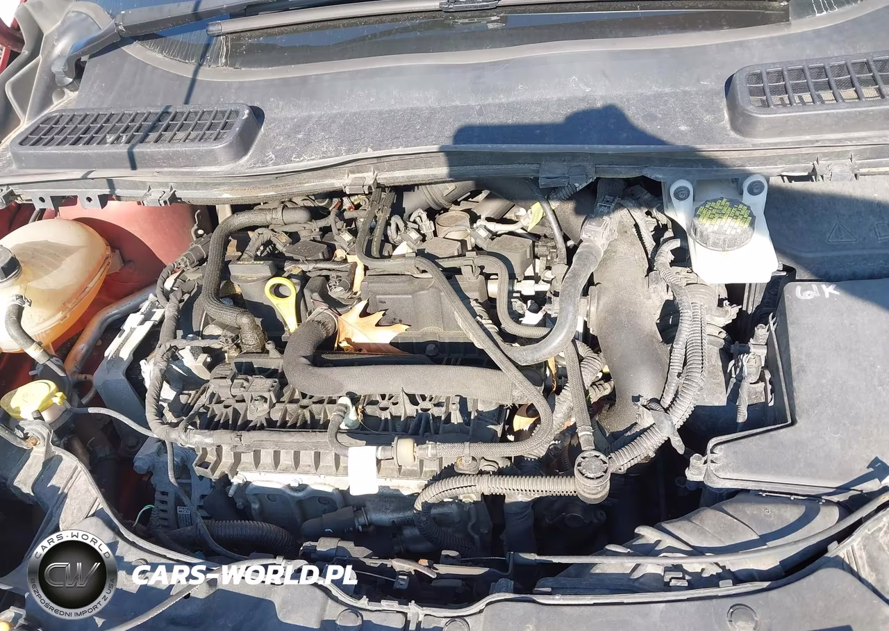 2019 Ford Escape Sel VIN:1FMCU9HD5KUA40353 - 10