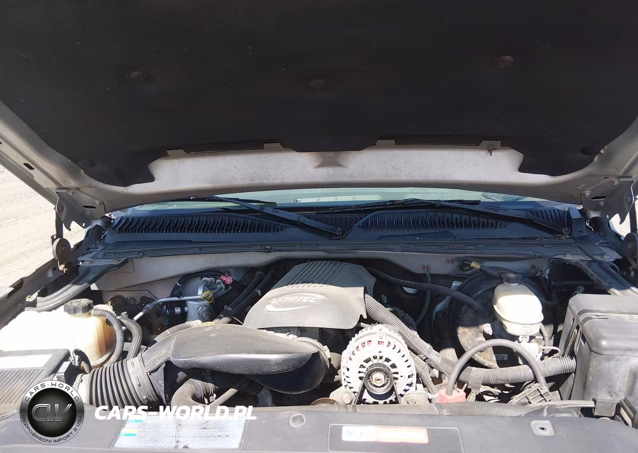 2006 Chevrolet Silverado 1500 Lt1 VIN:2GCEC19V961300411 - 10