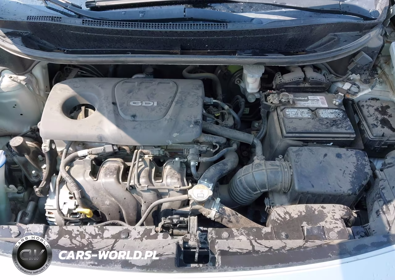 2016 Kia Rio Lx VIN:KNADM4A38G6674987 - 10