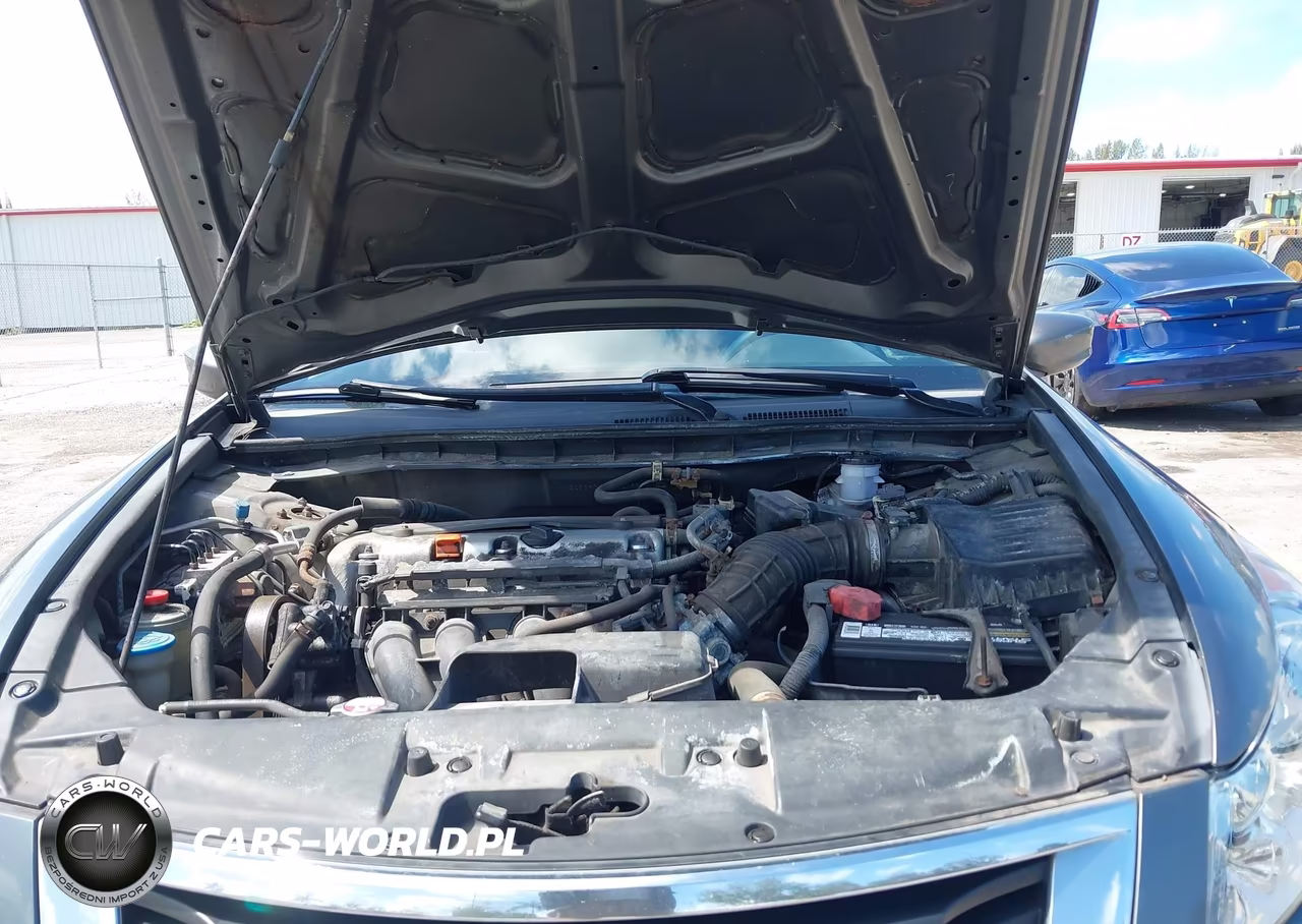 2010 Honda Accord 2.4 Lx VIN:1HGCP2F31AA023192 - 10