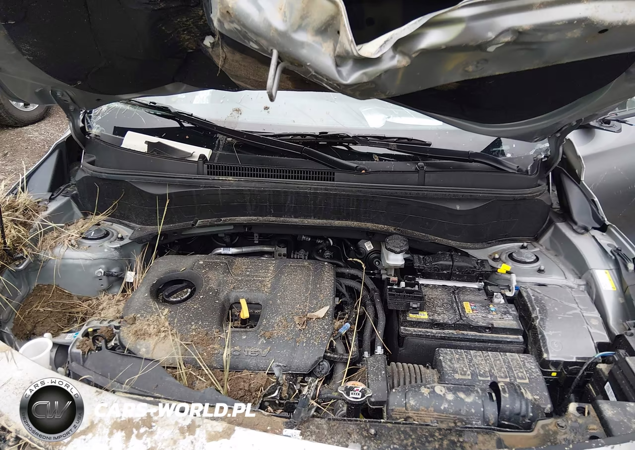 2025 Kia Seltos S VIN:KNDEUCAA1S7769569 - 10