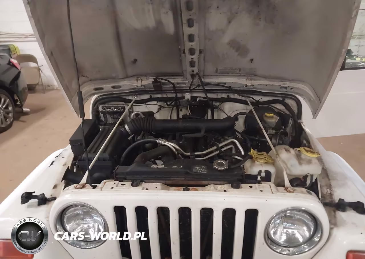 2003 Jeep Wrangler Sport VIN:1J4FA49S53P307348 - 10