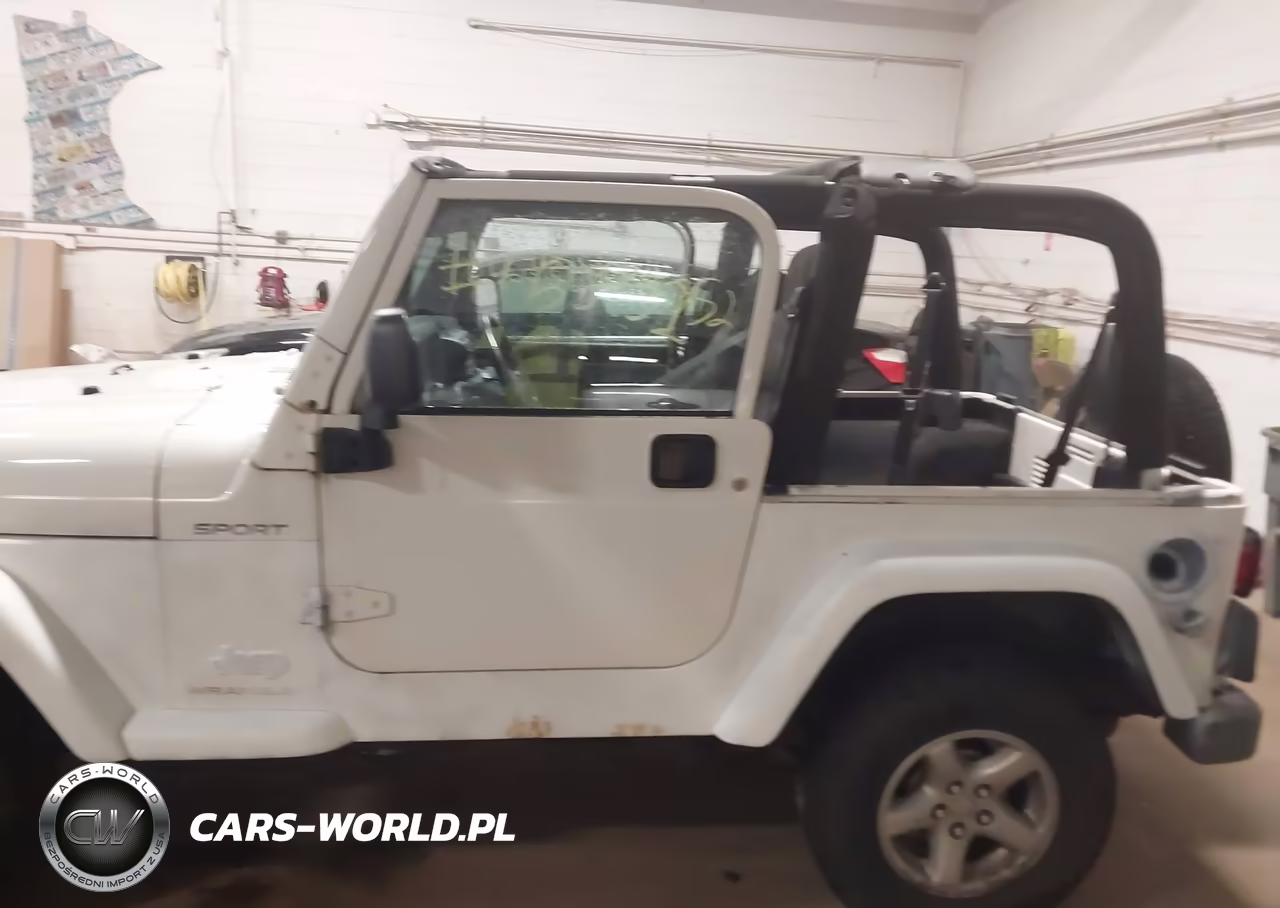 2003 Jeep Wrangler Sport VIN:1J4FA49S53P307348 - 14
