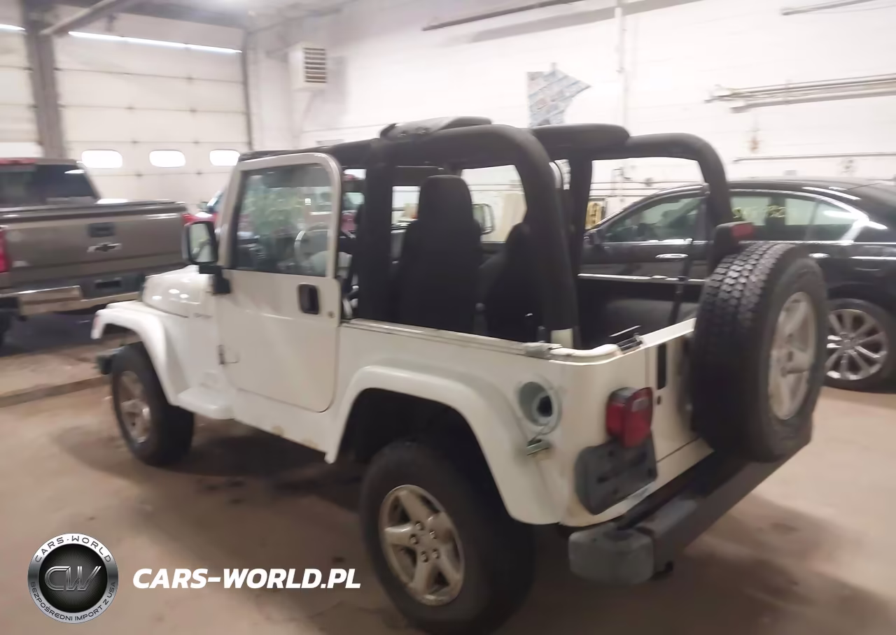 2003 Jeep Wrangler Sport VIN:1J4FA49S53P307348 - 3