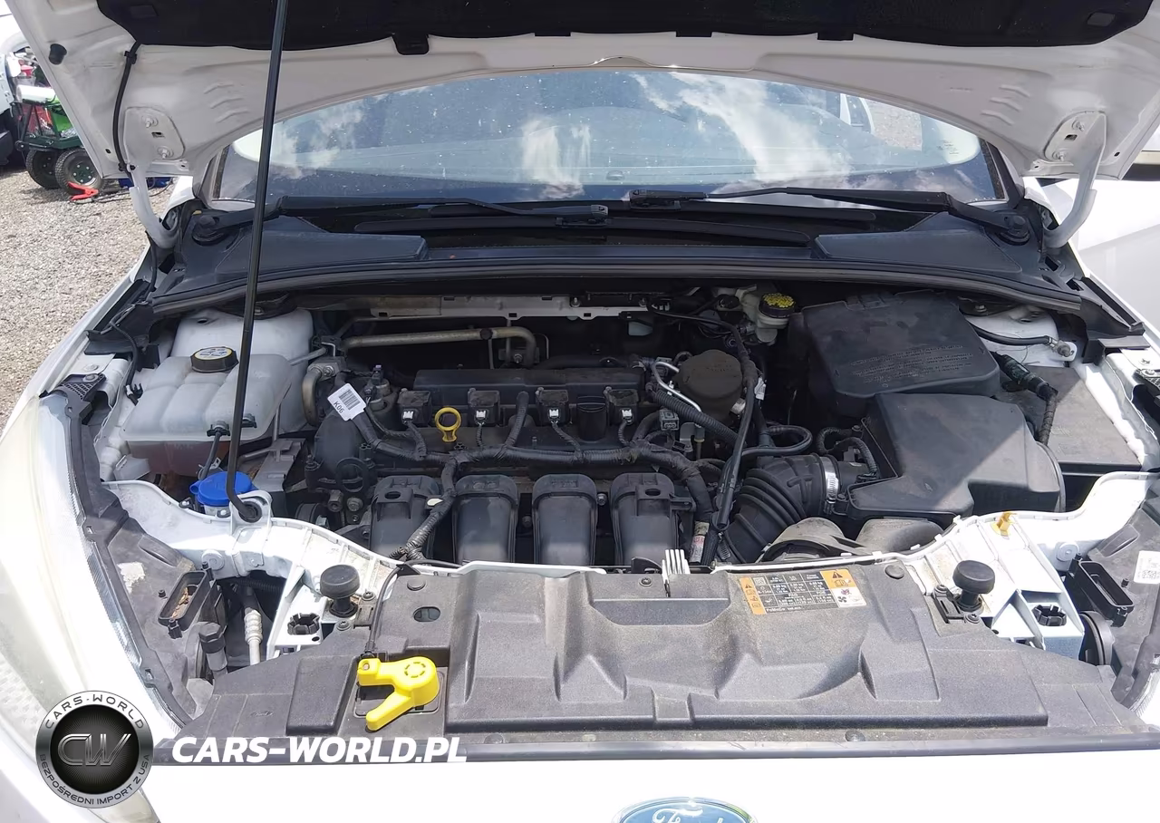 2015 Ford Focus Se VIN:1FADP3F2XFL292244 - 10