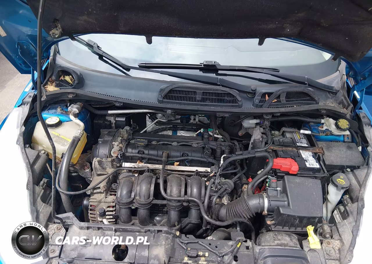 2013 Ford Fiesta Se VIN:3FADP4EJ1DM131985 - 10