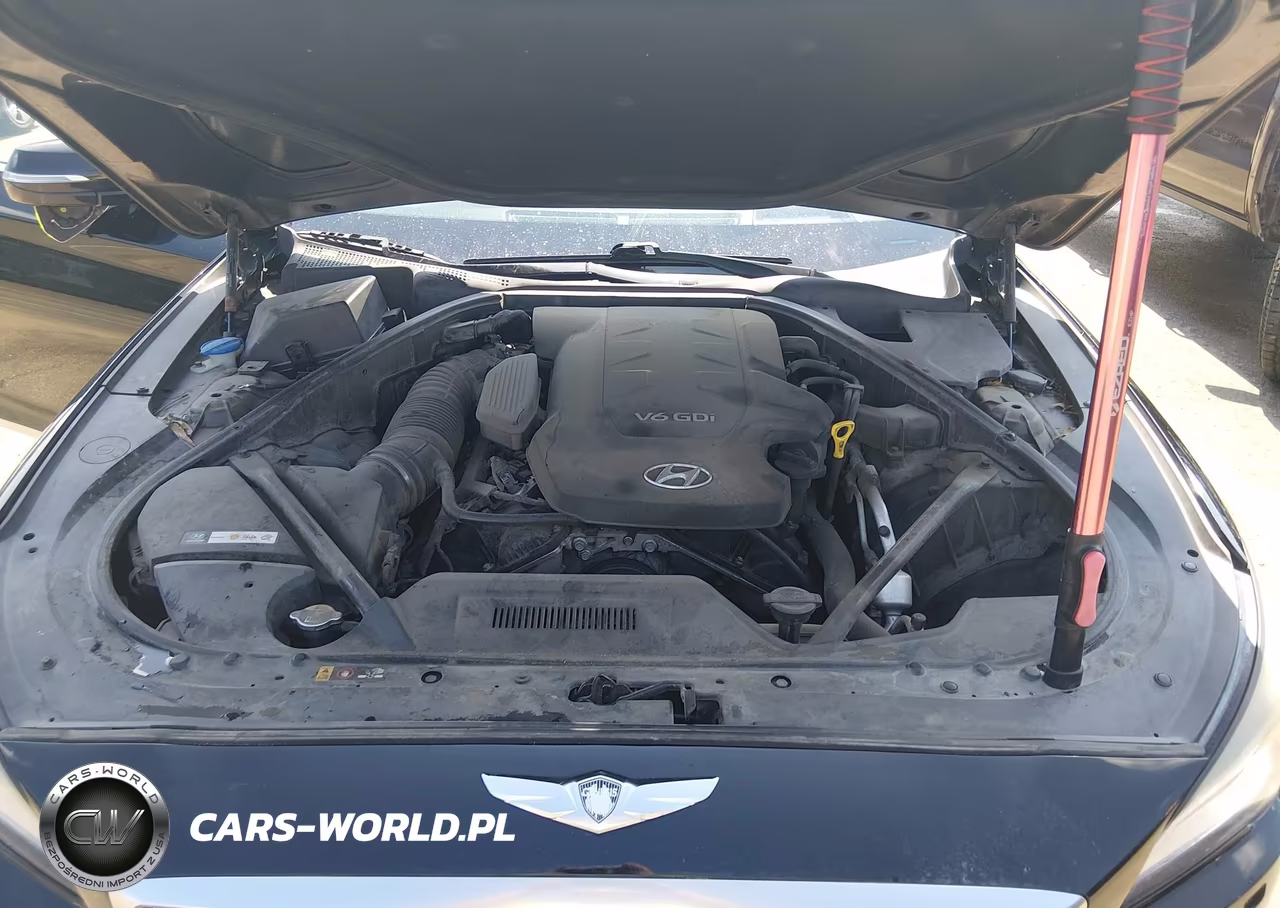2015 Hyundai Genesis 3.8 VIN:KMHGN4JE1FU023799 - 10