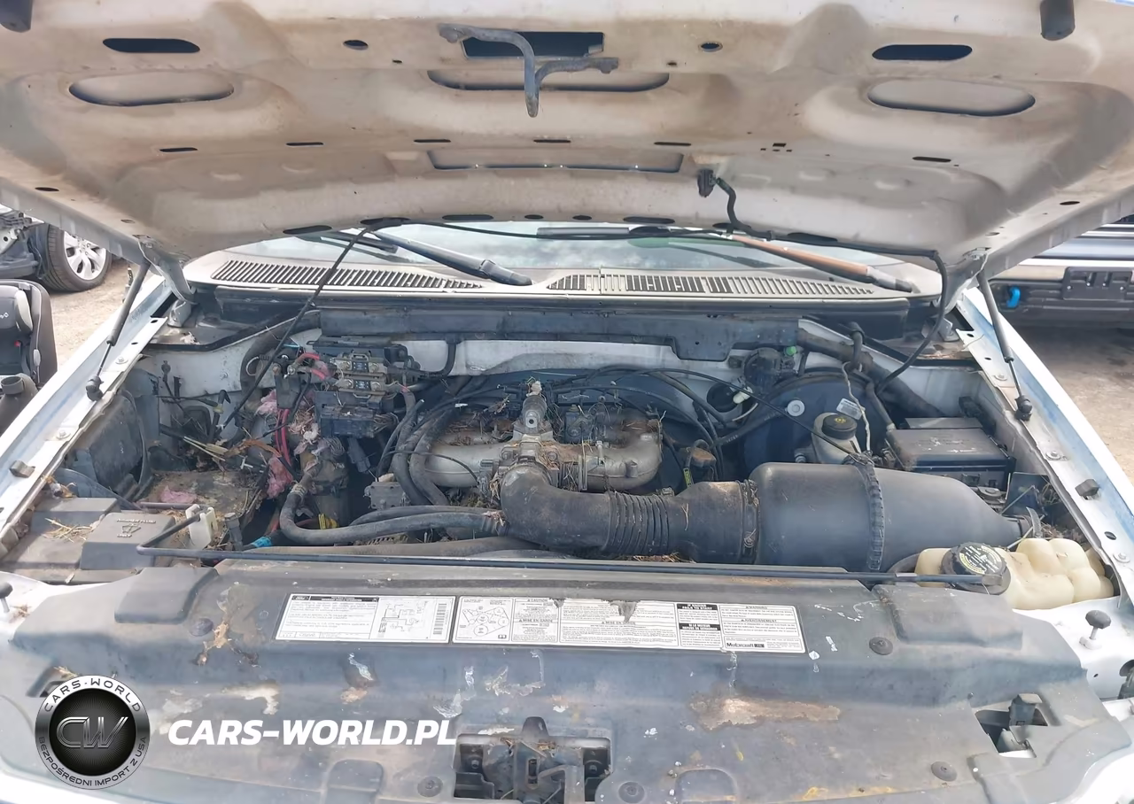 1997 Ford F-150 Standard Standard-Xl-Xlt VIN:1FTDF1725VKA24593 - 10