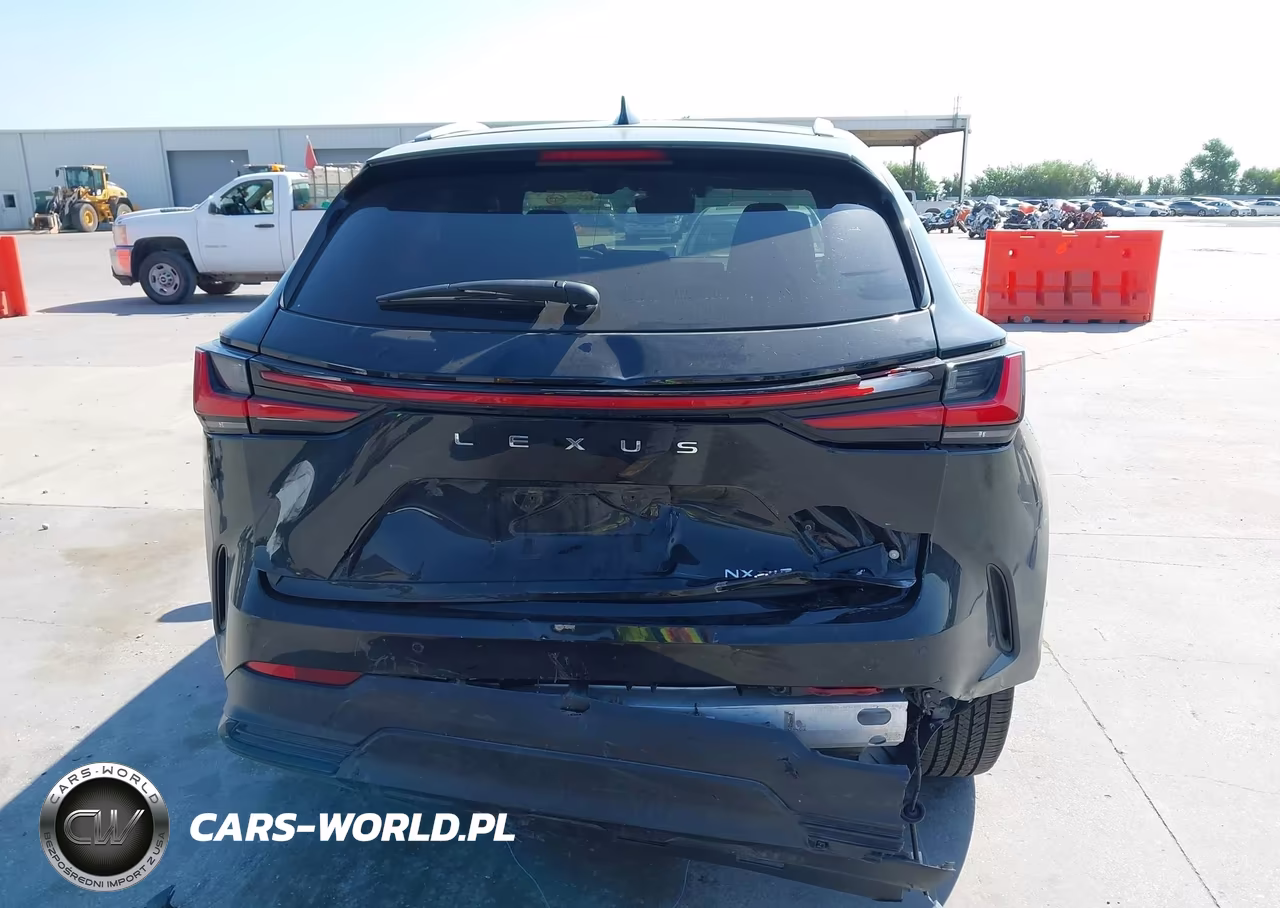2022 Lexus Nx 350 Luxury VIN:2T2HGCEZ4NC011762 - 17