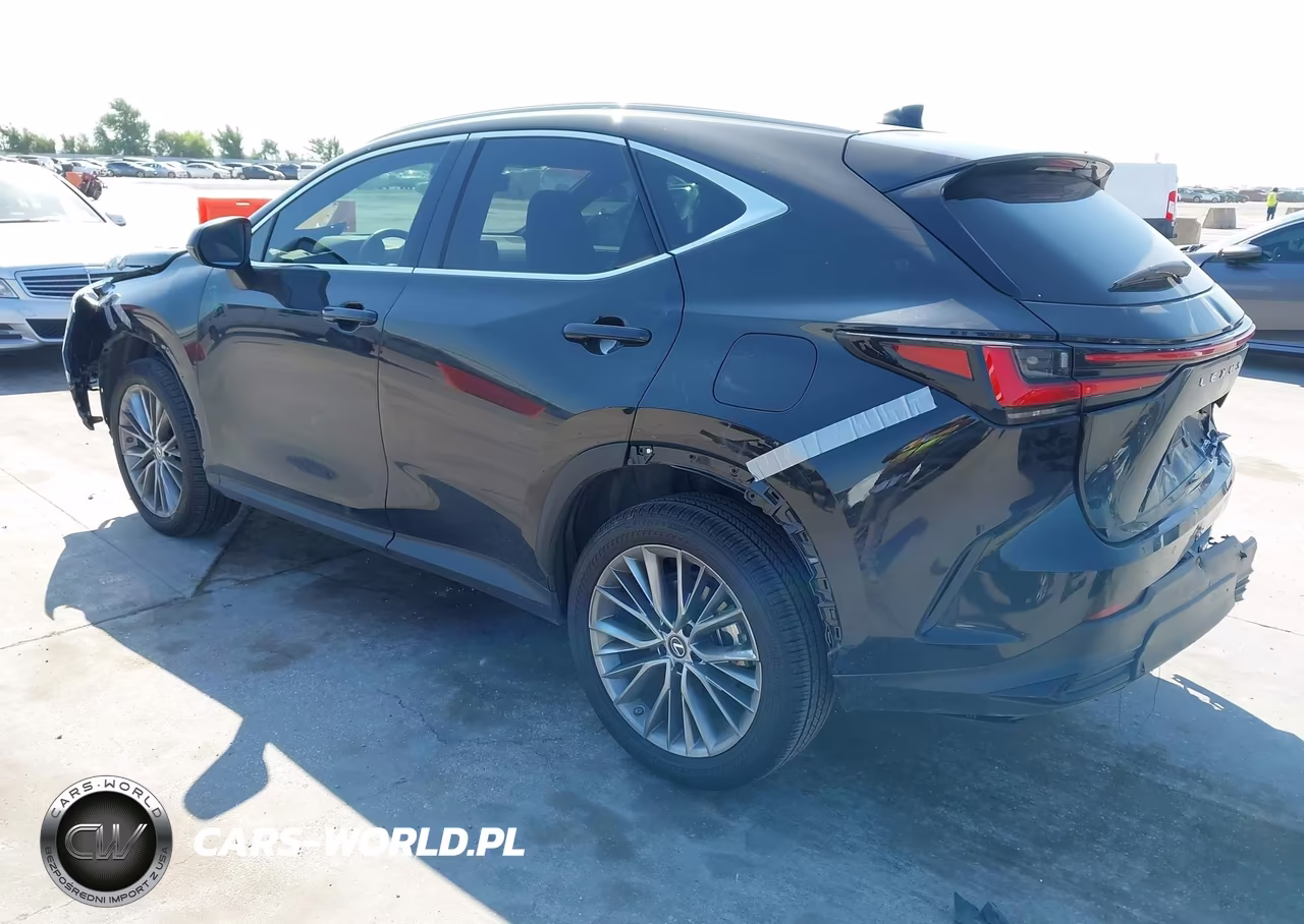 2022 Lexus Nx 350 Luxury VIN:2T2HGCEZ4NC011762 - 3