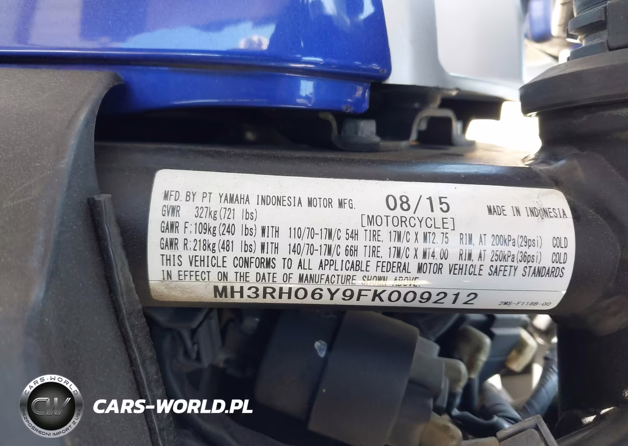 2015 Yamaha Yzfr3 VIN:MH3RH06Y9FK009212 - 10