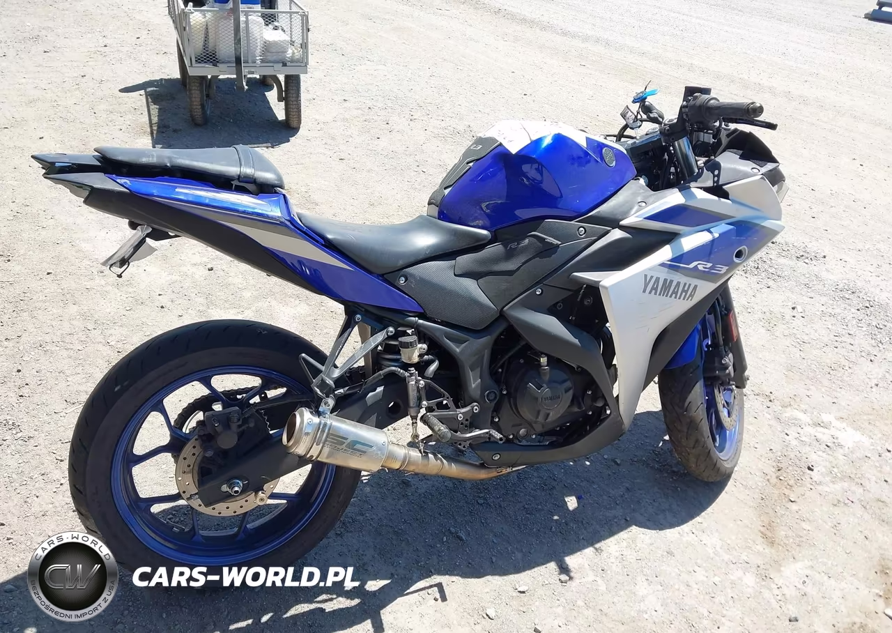 2015 Yamaha Yzfr3 VIN:MH3RH06Y9FK009212 - 18