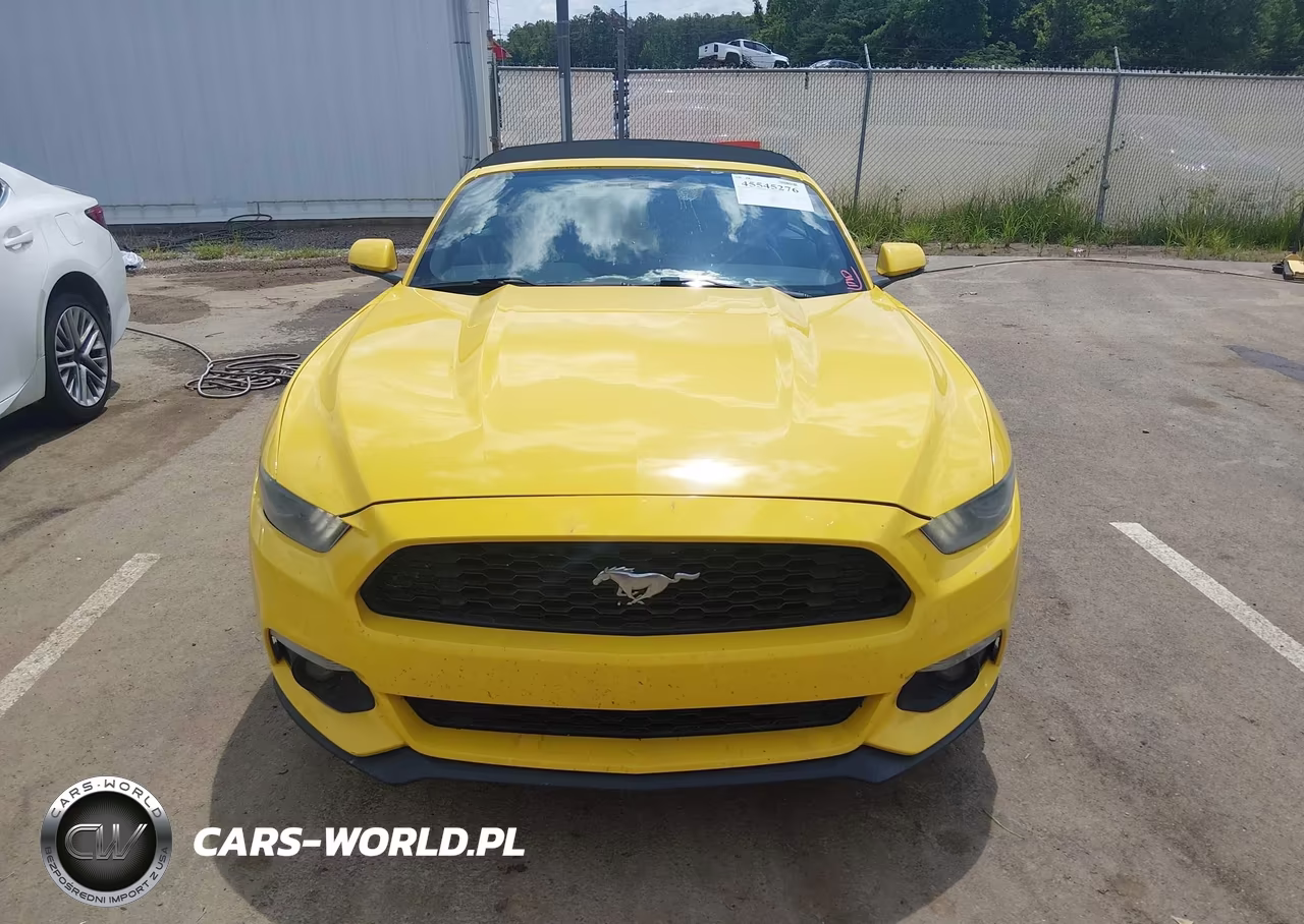 2016 Ford Mustang Ecoboost Premium VIN:1FATP8UH9G5284819 - 13