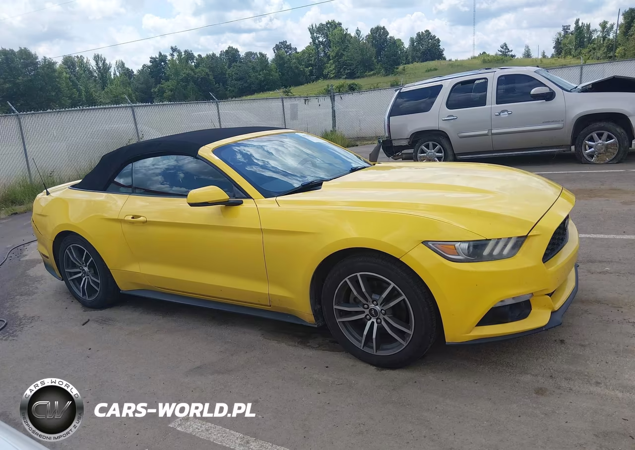 2016 Ford Mustang Ecoboost Premium VIN:1FATP8UH9G5284819 - 14