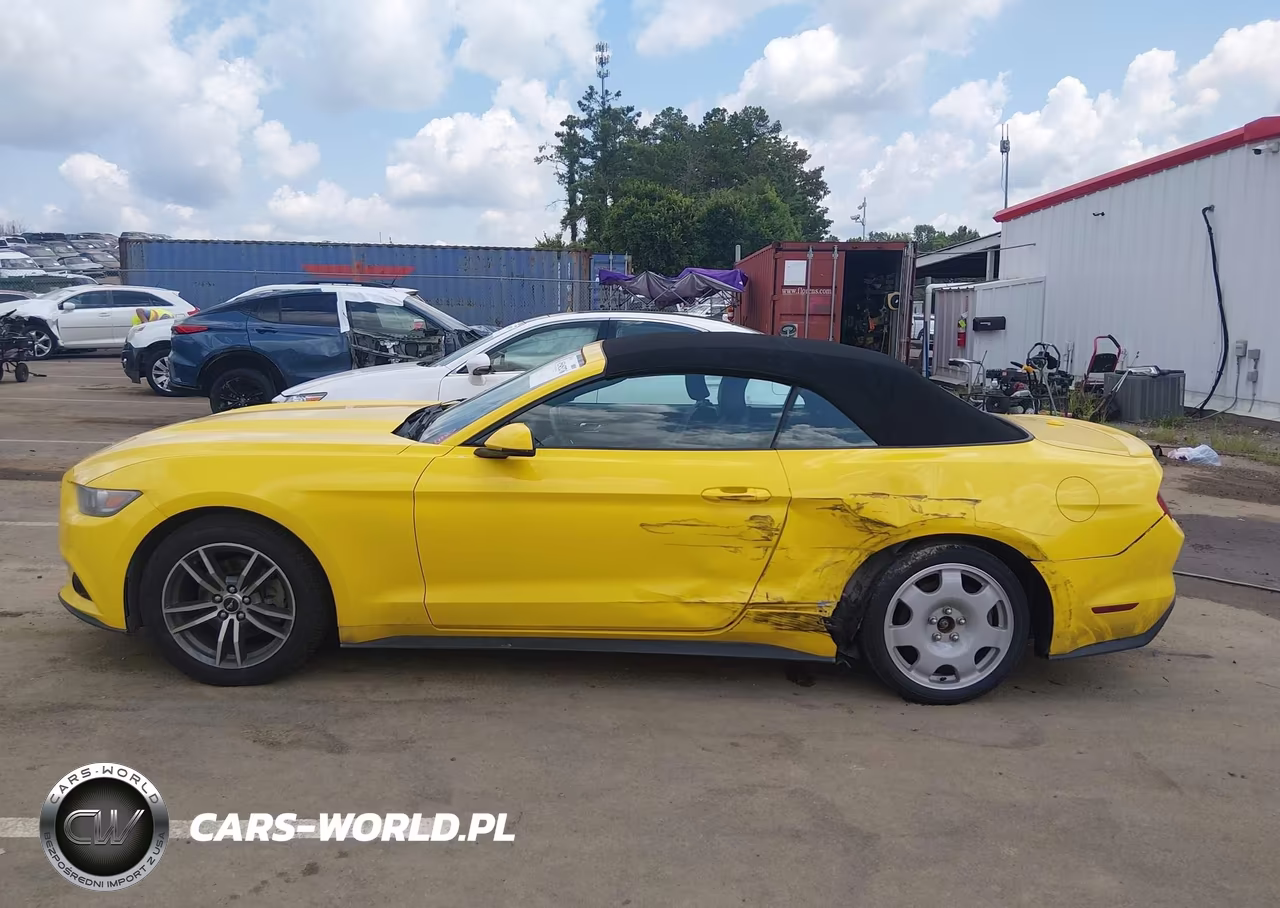 2016 Ford Mustang Ecoboost Premium VIN:1FATP8UH9G5284819 - 15