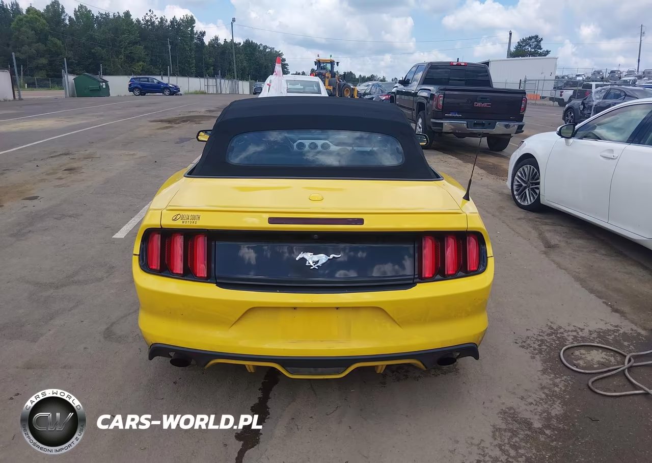 2016 Ford Mustang Ecoboost Premium VIN:1FATP8UH9G5284819 - 17