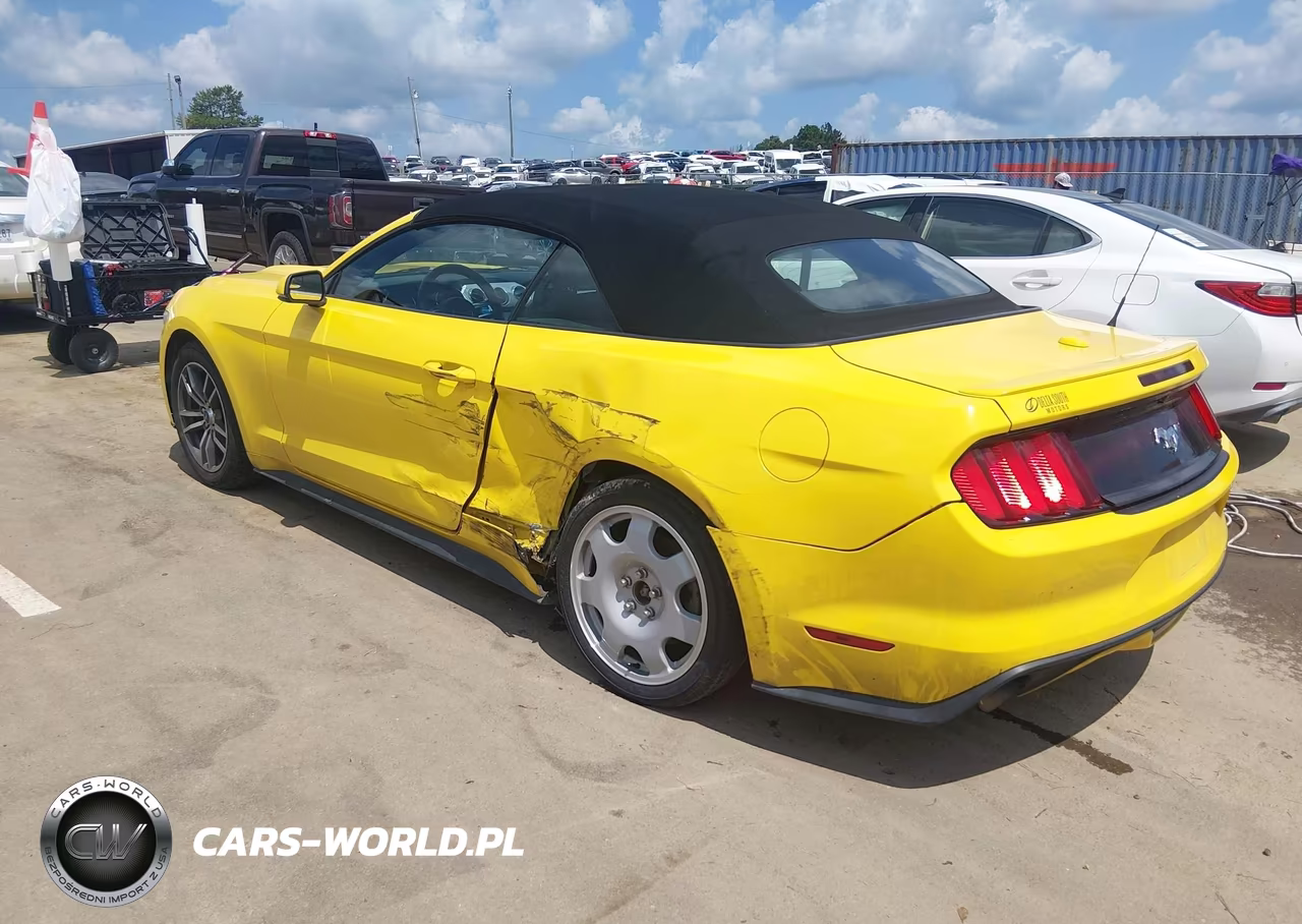 2016 Ford Mustang Ecoboost Premium VIN:1FATP8UH9G5284819 - 18