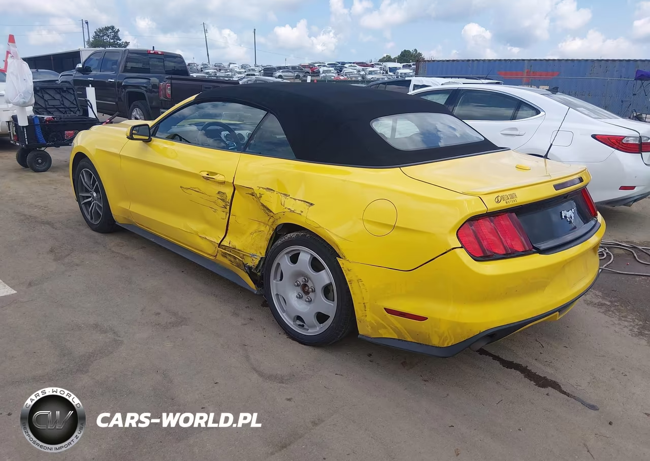 2016 Ford Mustang Ecoboost Premium VIN:1FATP8UH9G5284819 - 3