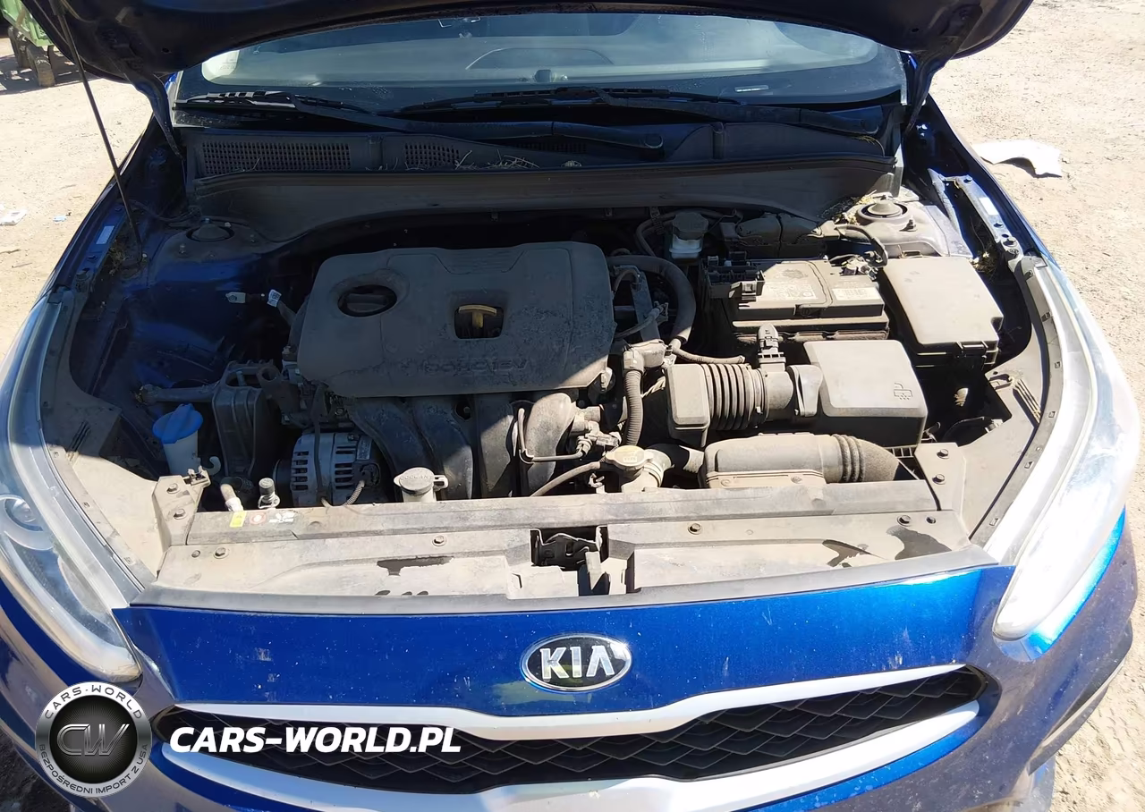 2019 Kia Forte Lxs VIN:3KPF24AD1KE108683 - 10