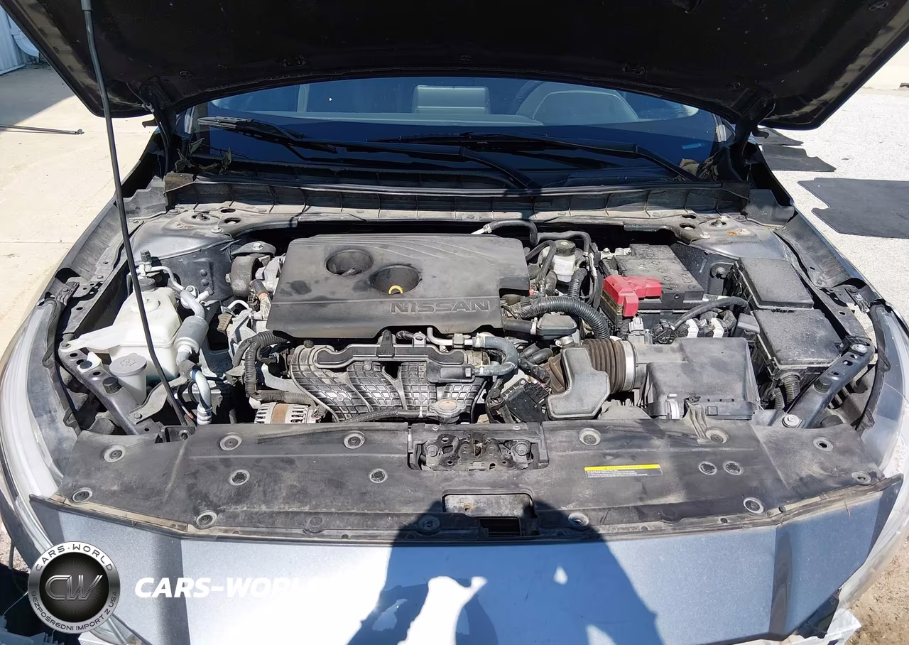 2019 Nissan Altima 2.5 Sv VIN:1N4BL4DW5KC155639 - 10