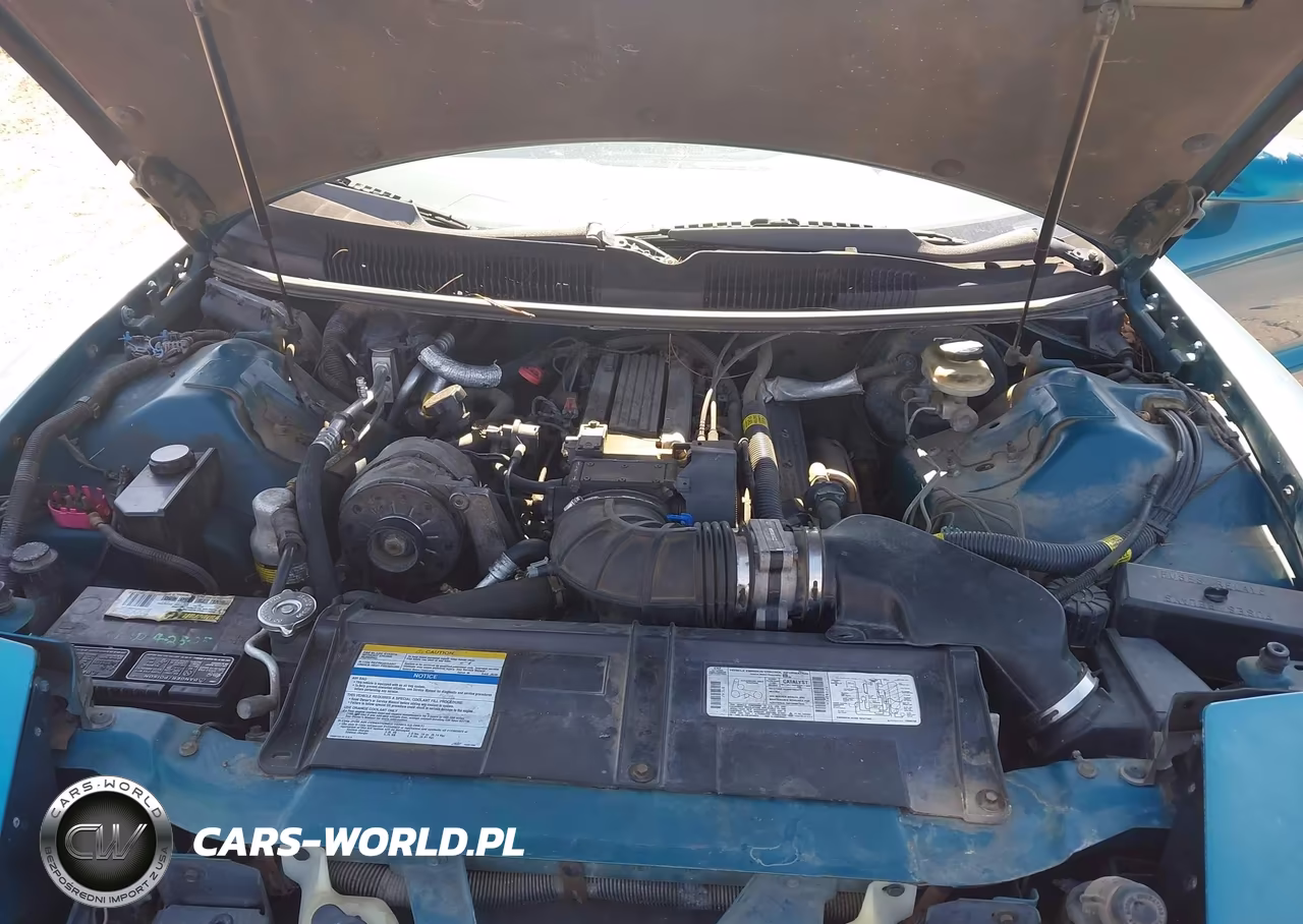 1996 Pontiac Firebird Formula-Trans Am VIN:2G2FV22P2T2213122 - 10