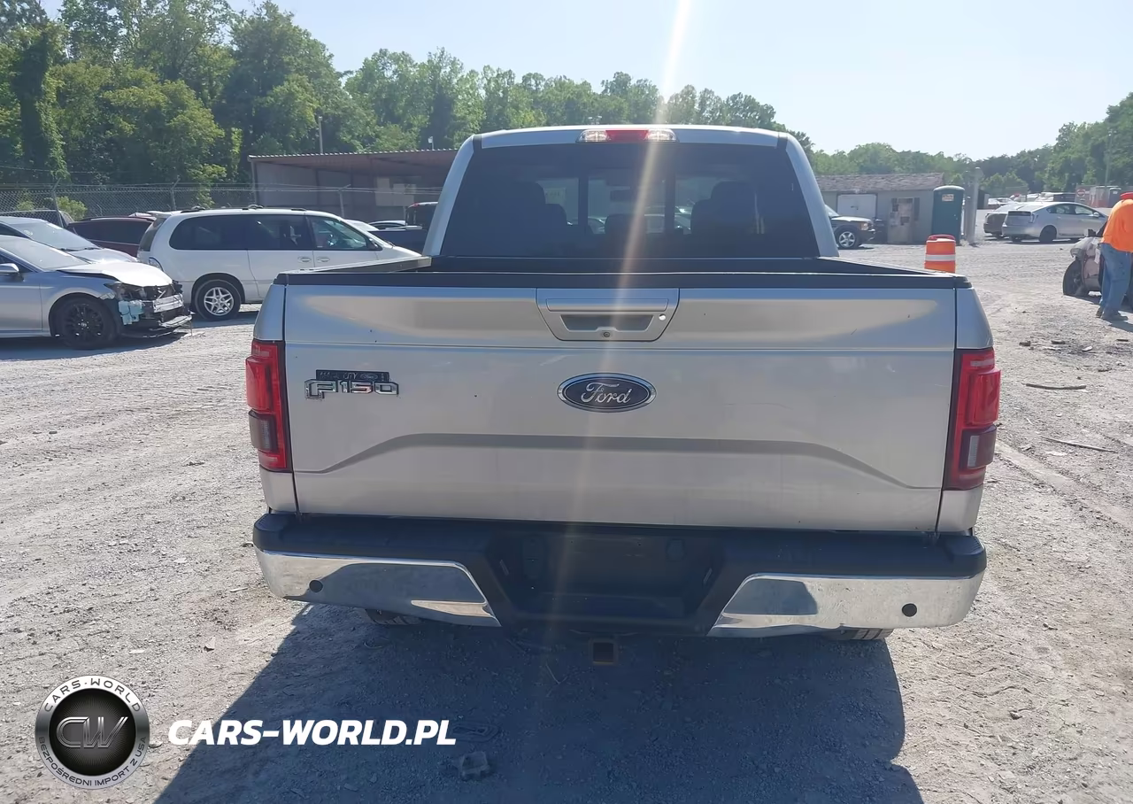 2016 Ford F-150 Lariat-Xl-Xlt VIN:1FTEW1EP7GFB65809 - 16