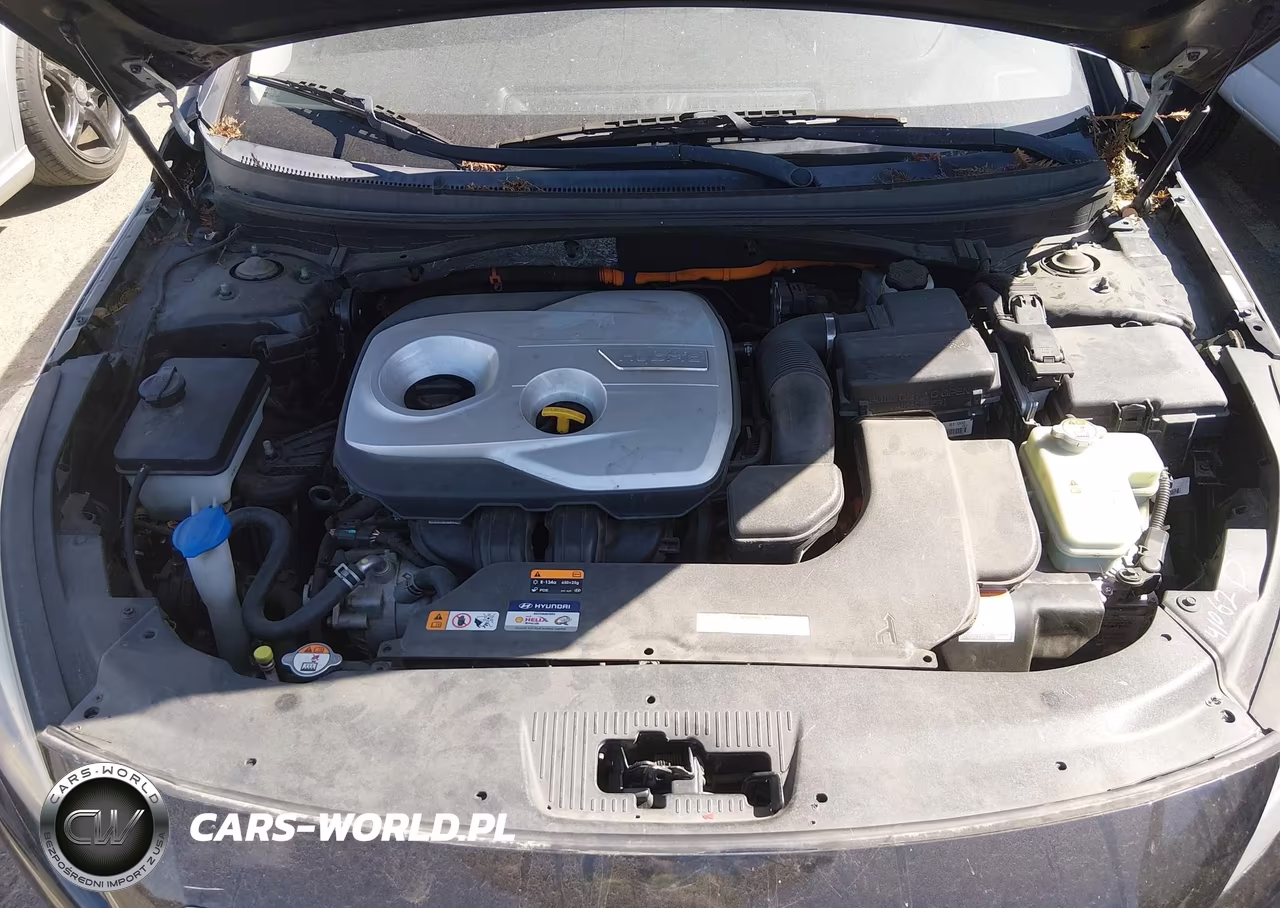 2016 Hyundai Sonata Hybrid Se VIN:KMHE24L1XGA025743 - 10