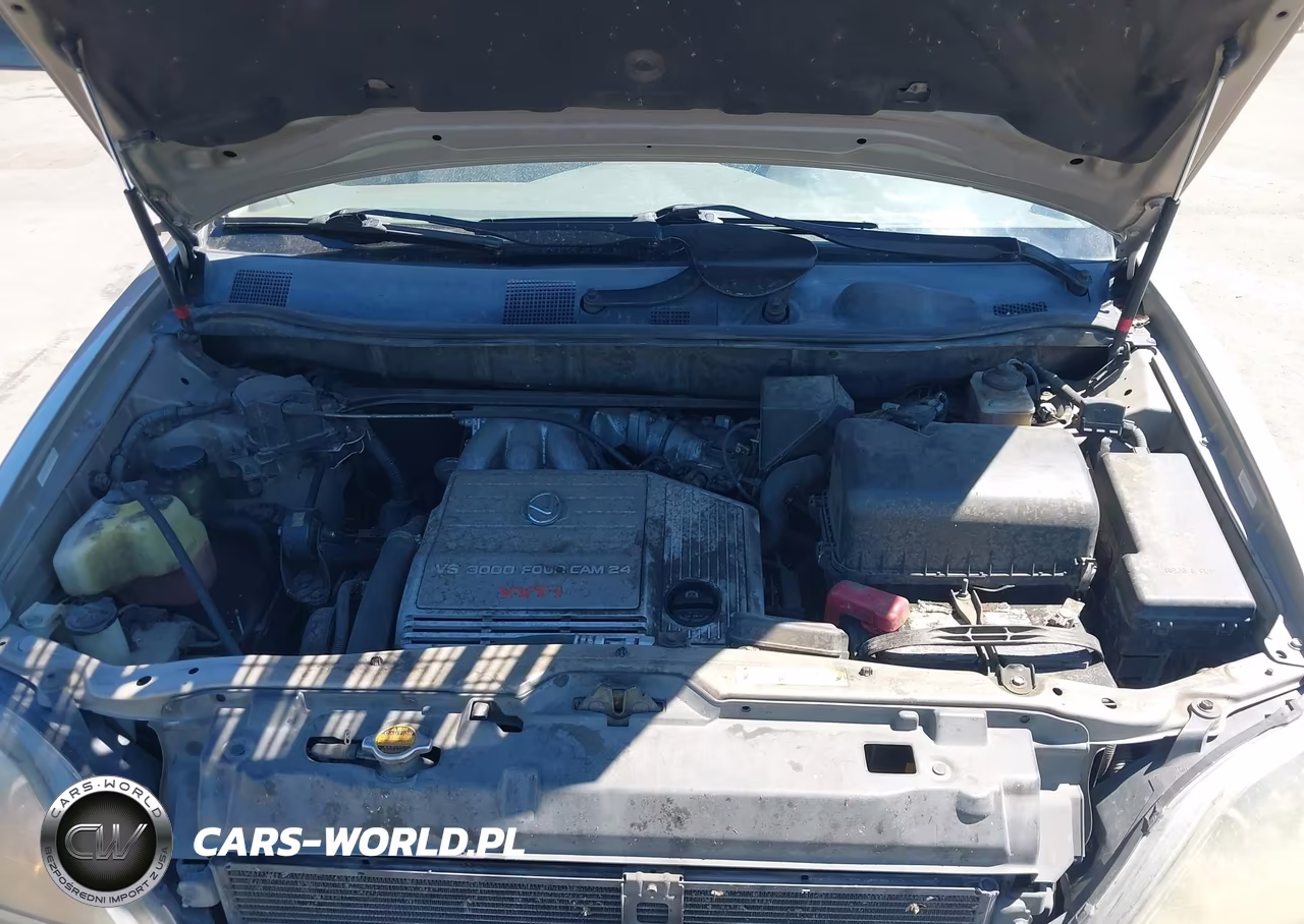 1999 Lexus Rx 300 VIN:JT6HF10U4X0024622 - 10